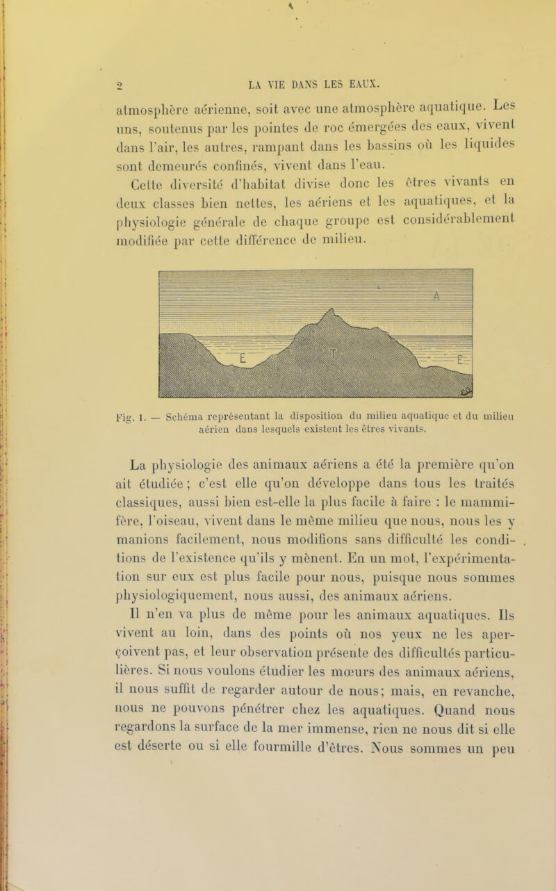 * atmosphère aérienne, soit avec une atmosphère aquatique. Les uns, soutenus par les pointes de roc émergées des eaux, vivent dans l’air, les autres, rampant dans les bassins où les liquides sont demeurés confinés, vivent dans l’eau. Cette diversité d’habitat divise donc les êtres vivants en deux classes bien nettes, les aériens et les aquatiques, et la physiologie générale de chaque groupe est considérablement modifiée par cette différence de milieu. j.’ig. i. _ Schéma représentant la disposition du milieu aquatique et du milieu aérien dans lesquels existent les êtres vivants. La physiologie des animaux aériens a été la première qu’on ait étudiée ; c’est elle qu’on développe dans tous les traités classiques, aussi bien est-elle la plus facile à faire : le mammi- fère, l'oiseau, vivent dans le même milieu que nous, nous les y manions facilement, nous modifions sans difficulté les condi- tions de l’existence qu’ils y mènent. En un mot, l’expérimenta- tion sur eux est plus facile pour nous, puisque nous sommes physiologiquement, nous aussi, des animaux aériens. Il n’en va plus de même pour les animaux aquatiques. Ils vivent au loin, dans des points où nos yeux ne les aper- çoivent pas, et leur observation présente des difficultés particu- lières. Si nous voulons étudier les mœurs des animaux aériens, il nous suffit de regarder autour de nous; mais, en revanche, nous ne pouvons pénétrer chez les aquatiques. Quand nous regardons la surface de la mer immense, rien ne nous dit si elle est déserte ou si elle fourmille d’êtres. i\ous sommes un peu