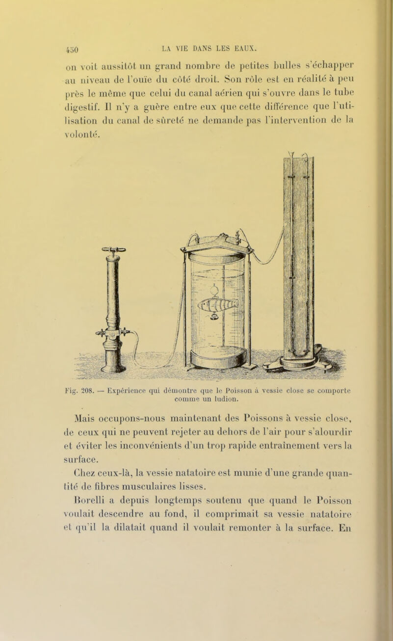 4oO on voit aussitôt un grand nombre de petites bulles s’échapper au niveau de l’ouïe du côté droit. Son rôle est en réalité à peu près le même que celui du canal aérien qui s’ouvre dans le tube digestif. Il n'y a guère entre eux que cette différence que l'uti- lisation du canal desûreté ne demande pas l'intervention de la volonté. Fig. 208. — Expérience qui démontre que le Poisson à vessie close se comporte comme un ludion. Mais occupons-nous maintenant des Poissons à vessie close, de ceux qui ne peuvent rejeter au dehors de l’air pour s’alourdir et éviter les inconvénients d’un trop rapide entraînement vers la surface. Chez ceux-là, la vessie natatoire est munie d'une grande quan- tité de fibres musculaires lisses. Borelli a depuis longtemps soutenu que quand le Poisson voulait descendre au fond, il comprimait sa vessie natatoire el qu'il la dilatait quand il voulait remonter à la surface. En