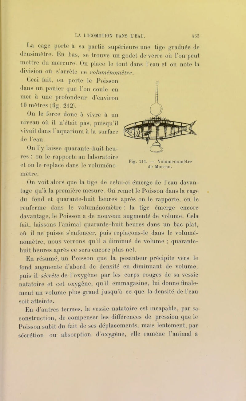 La cage porte a sa partie supérieure une tige graduée de densimètre. Lu bas, se trouve un godet de verre où l’on peut mettre du mercure. On place le tout dans l’eau et ou note la division où s’arrête ce voluménomètrc. Leci tait, on porte le Poisson dans un panier que l’on coule en mer a une profondeur d’environ 10 mètres (tig. 212). On le force donc à vivre à un niveau où il n’était pas, puisqu’il vivait dans l’aquarium à la surface de l’eau. On l'y laisse quarante-huit heu- res : on le rapporte au laboratoire et on le replace dans le voluméno- mètre. On voit alors que la tige de celui-ci émerge de l'eau davan- tage qu'à la première mesure. On remet le Poisson dans la cage du fond et quarante-huit heures après on le rapporte, on le renferme dans le voluménomètrc : la tige émerge encore davantage, le Poisson a de nouveau augmenté de volume. Cela fait, laissons l’animal quarante-huit heures dans un bac plat, où il ne puisse s’enfoncer, puis replaçons-le dans le volumé- nomètre, nous verrons qu’il a diminué de volume ; quarante- huit heures après ce sera encore plus net. En résumé, un Poisson que la pesanteur précipite vers le fond augmente d’abord de densité en diminuant de volume, puis il sécrète de l'oxygène par les corps rouges de sa vessie natatoire et cet oxygène, qu’il emmagasine, lui donne finale- ment un volume plus grand jusqu’à ce que la densité de l’eau soit atteinte. En d’autres termes, la vessie natatoire est incapable, par sa construction, de compenser les différences de pression que le Poisson subit du fait de ses déplacements, mais lentement, par sécrétion ou absorption d'oxygène, elle ramène l’animal à