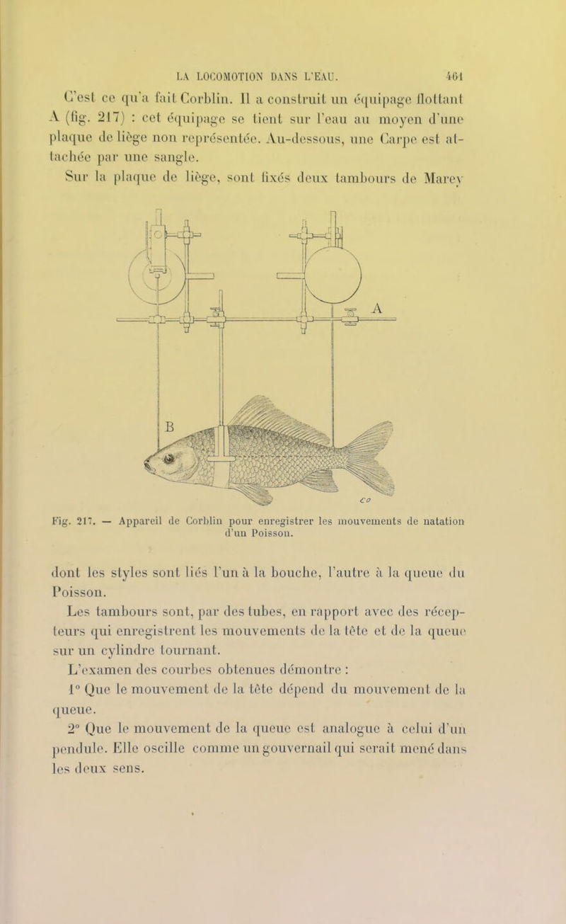 C’est ce qu’a faitCorblin. Il a construit un équipage flottant A (lïg. 217) : cet équipage se tient sur l’eau au moyen d’une plaque de liège non représentée. Au-dessous, une Carpe est at- tachée par une sangle. Sur la plaque de liège, sont lixés deux tambours de Marey Fig. 217. — Appareil de Corblin pour enregistrer les mouvements de natation d’un Poisson. dont les styles sont liés l’un à la bouche, l’autre à la queue du Poisson. Les tambours sont, par des tubes, en rapport avec des récep- teurs qui enregistrent les mouvements de la tète et de la queue sur un cylindre tournant. L’examen des courbes obtenues démontre : 1° Que le mouvement de la tète dépend du mouvement de la queue. 2° Que le mouvement de la queue est analogue à celui d’un pendule. Elle oscille comme un gouvernail qui serait mené dans les deux sens.