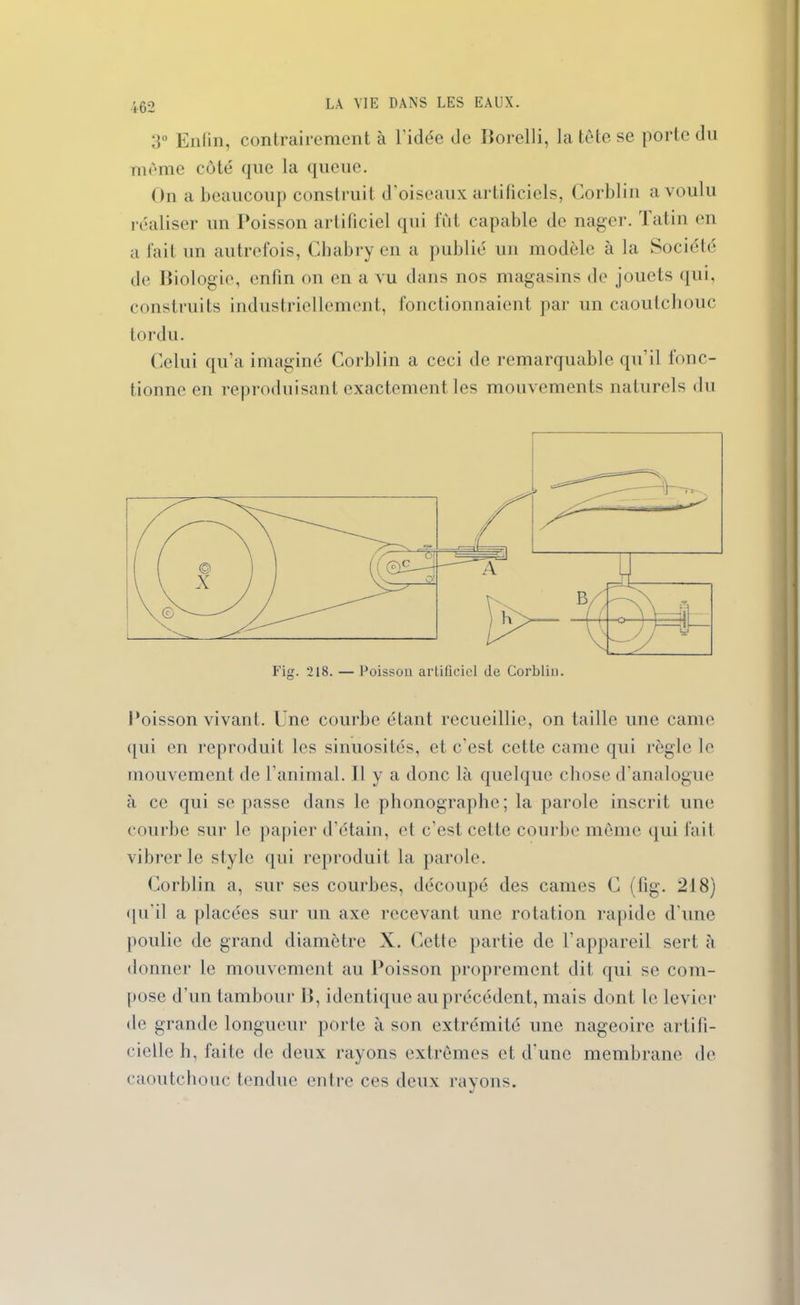 3° Enfin, contrairement à l’idée de Borelli, la tète se porte du même coté que la queue. On a beaucoup construit d’oiseaux artificiels, Corblin a voulu réaliser un Poisson artificiel qui fût capable de nager. Tatin en a fait un autrefois, Chabry en a publié un modèle à la Société de Biologie, enfin on en a vu dans nos magasins de jouets qui, construits industriellement, fonctionnaient par un caoutchouc tordu. Celui qu’a imaginé Corblin a ceci de remarquable qu’il fonc- tionne en reproduisant exactement les mouvements naturels du Boisson vivant. Une courbe étant recueillie, on taille une came (pii en reproduit les sinuosités, et c'est cette came qui règle le mouvement de l’animal. Il y a donc là quelque chose d'analogue à ce qui se passe dans le phonographe; la parole inscrit une courbe sur le papier d’étain, et c’est cette courbe même qui fait vibrer le style qui reproduit la parole. Corblin a, sur ses courbes, découpé des cames C (fig. 218) qu’il a placées sur un axe recevant une rotation rapide d'une poulie de grand diamètre X. Cette partie de l’appareil sert à donner le mouvement au Boisson proprement dit qui se com- pose d’un tambour B, identique au précédent, mais dont le levier de grande longueur porte à son extrémité une nageoire artifi- cielle h, faite de deux rayons extrêmes et d’une membrane de caoutchouc tendue entre ces deux rayons.