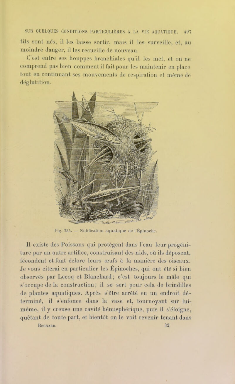 (ils sont nés, il les laisse sortie, mais il les surveille, et, au moindre danger, il les recueille de nouveau. Ci est entre ses houppes branchiales qu'il les met, et on ne comprend pas bien comment il fait pour les maintenir en place tout en continuant ses mouvements de respiration et même de déglutition. Il existe des Poissons qui protègent dans l’eau leur progéni- ture par un autre artifice, construisant des nids, où ils déposent, fécondent et font éclore leurs œufs à la manière des oiseaux. Je vous citerai en particulier les Epinoches, qui ont été si bien observés par Lecoq et Blanchard; c’est toujours le mâle qui s’occupe de la construction; il se sert pour cela de brindilles de plantes aquatiques. Après s’être arrêté en un endroit dé- terminé, il s’enfonce dans la vase et, tournoyant sur lui- même, il y creuse une cavité hémisphérique, puis il s’éloigne, quêtant de toute part, et bientôt on le voit revenir tenant dans Regnaud. 32