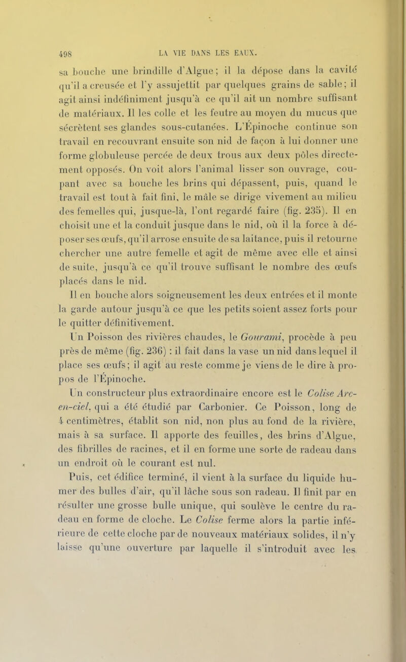 sa bouche une brindille d’Algue; il la dépose dans la cavité qu’il a creusée et l’y assujettit par quelques grains de sable; il agit ainsi indéfiniment jusqu’à ce qu'il ait un nombre suffisant de matériaux. Il les colle et les feutre au moyen du mucus que sécrètent ses glandes sous-cutanées. L’Epinochc continue son travail en recouvrant ensuite son nid de façon à lui donner une forme globuleuse percée de deux trous aux deux pôles directe- ment opposés. On voit alors l’animal lisser son ouvrage, cou- pant avec sa bouche les brins qui dépassent, puis, quand le travail est tout à fait fini, le mâle se dirige vivement au milieu des femelles qui, jusque-là, l’ont, regardé faire (fig. 235). 11 en choisit une et la conduit jusque dans le nid, où il la force à dé- poser ses œufs, qu’il arrose ensuite de sa lai tance, puis il retourne chercher une autre femelle et agit de même avec elle et ainsi de suite, jusqu’à ce qu’il trouve suffisant le nombre des œufs placés dans le nid. Il en bouche alors soigneusement les deux entrées et il monte la garde autour jusqu’à ce que les petits soient assez forts pour le quitter définitivement. Un Poisson des rivières chaudes, le Gourami, procède à peu près de même (fig. 236) : il fait dans la vase un nid dans lequel il place ses œufs; il agit au reste comme je viens de le dire à pro- pos de l’Epinoche. Un constructeur plus extraordinaire encore est le Coli.se Arc- en-ciel, qui a été étudié par Garbonier. Ce Poisson, long de 4 centimètres, établit son nid, non plus au fond de la rivière, mais à sa surface. Il apporte des feuilles, des brins d’Algue, des fibrilles de racines, et il en forme une sorte de radeau dans un endroit où le courant est nul. Puis, cet édifice terminé, il vient à la surface du liquide hu- mer des bulles d’air, qu’il lâche sous son radeau. Il finit par en résulter une grosse bulle unique, qui soulève le centre du ra- deau en forme de cloche. Le Colise ferme alors la partie infé- rieure de cette cloche par de nouveaux matériaux solides, il n’y laisse qu’une ouverture par laquelle il s’introduit avec les
