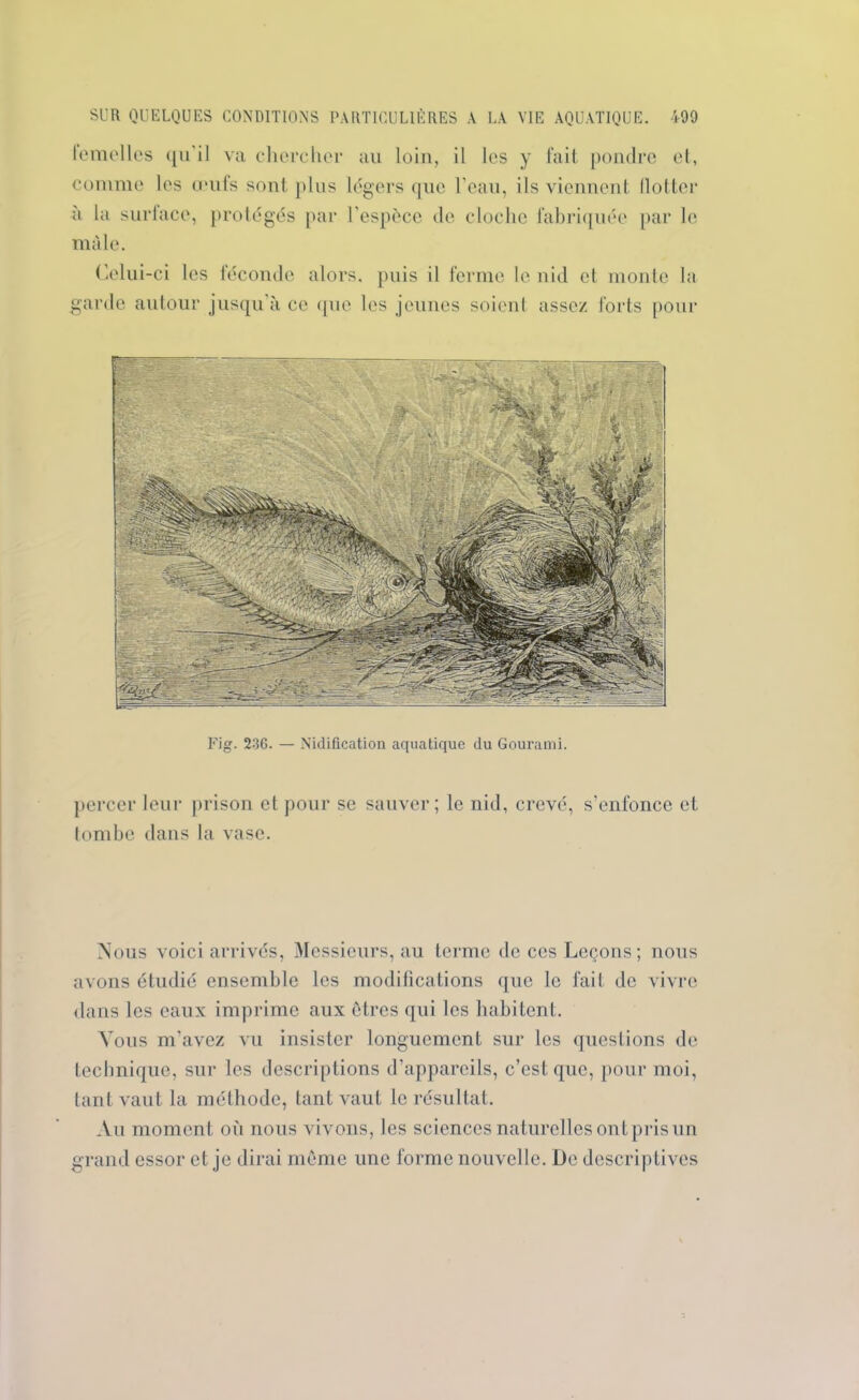 lemelles qu'il va chercher au loin, il les y fait pondre et, comme les œufs sont plus légers que l'eau, ils viennent flotter à la surlace, protégés par l'espèce de cloche fabriquée par le mâle. Celui-ci les féconde alors, puis il ferme le nid et monte la garde autour jusqu'à ce que les jeunes soient assez forts pour Fig. 236. — Nidification aquatique du Gourami. percer leur prison et pour se sauver; le nid, crevé, s’enfonce et tombe dans la vase. Nous voici arrivés, Messieurs, au terme de ces Leçons; nous avons étudié ensemble les modifications que le fait de vivre dans les eaux imprime aux êtres qui les habitent. Vous m’avez vu insister longuement sur les questions de technique, sur les descriptions d’appareils, c’est que, pour moi, tant vaut la méthode, tant vaut le résultat. Au moment où nous vivons, les sciences naturelles ont pris un grand essor et je dirai même une forme nouvelle. De descriptives