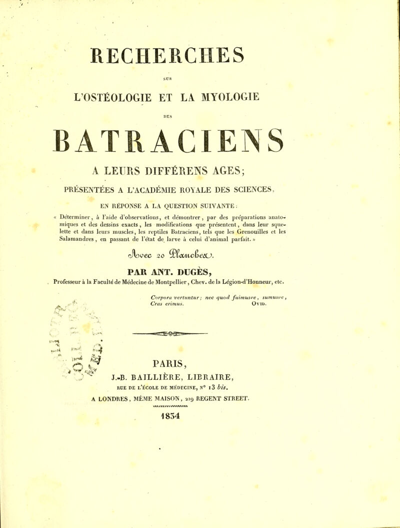 RECHERCHES L OSTÉOLOGIE ET LA MYOLOGIE BATRACIENS A LEURS DIFFÉRENS AGES; PRÉSENTÉES A L'ACADÉMIE ROYALE DES SCIENCES, EN RÉPONSE A LA QUESTION SUIVANTE : « Déterminer, à l'aide d'observations, et de'montrer , par des préparations anato- miques et des dessins exacts , les modifications que présentent, dans leur sque- lette et dans leurs muscles, les reptiles Batraciens, tels que les Grenouilles et les Salamandres , en passant de l'état de larve à celui d'animal parfait. » PAR ANT. DUGÈS, Professeur à la Faculté de Médecine de Montpellier, Chev. de la Légion-d'Honneur, etc. Corpora vertiintur; nec qiiod fuimusfe , sumusue , Cras erinius. OviD. % ^ PARIS, J.-B. BAILLIÈRE, LIBRAIRE, RBE DE l'École de médecine, n° i3 bis. A LONDRES, MÊME MAISON, 219 REGENT STREET. VW WV VVX wwwvw 1834