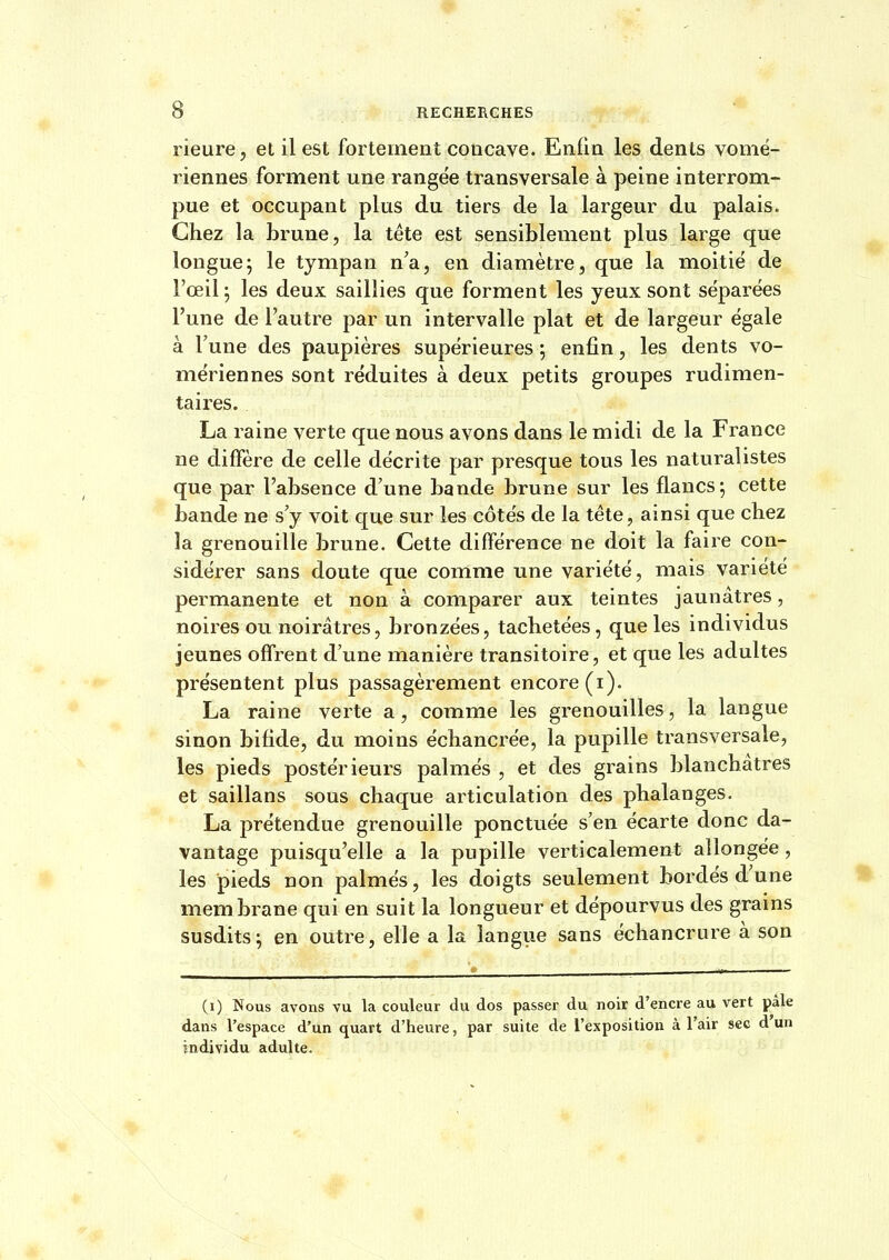 rieure, et il est fortement concave. Enfin les dents vomë- riennes forment une rangée transversale à peine interrom- pue et occupant plus du tiers de la largeur du palais. Chez la brune, la téte est sensiblement plus large que longue; le tympan n'a, en diamètre, que la moitié de l'œil ; les deux saillies que forment les yeux sont séparées l'une de l'autre par un intervalle plat et de largeur égale à Tune des paupières supérieures ; enfin, les dents vo- mériennes sont réduites à deux petits groupes rudimen- taires. La raine verte que nous avons dans le midi de la France ne diffère de celle décrite par presque tous les naturalistes que par l'absence d'une bande brune sur les flancs; cette bande ne s'y voit que sur les côtés de la tête, ainsi que chez la grenouille brune. Cette différence ne doit la faire con- sidérer sans doute que comme une variété, mais variété permanente et non à comparer aux teintes jaunâtres, noires ou noirâtres, bronzées, tachetées, que les individus jeunes offrent d'une manière transitoire, et que les adultes présentent plus passagèrement encore (i). La raine verte a, comme les grenouilles, la langue sinon bifide, du moins échancrée, la pupille transversale, les pieds postérieurs palmés , et des grains blanchâtres et saillans sous chaque articulation des phalanges. La prétendue grenouille ponctuée s'en écarte donc da- vantage puisqu'elle a la pupille verticalement allongée, les pieds non palmés, les doigts seulement bordés d'une membrane qui en suit la longueur et dépourvus des grams susdits; en outre, elle a la langue sans échancrure à son (i) Nous avons vu la couleur du dos passer du noir d'encre au vert pâle dans l'espace d'un quart d'heure, par suite de l'exposition à l'air sec d un individu adulte.