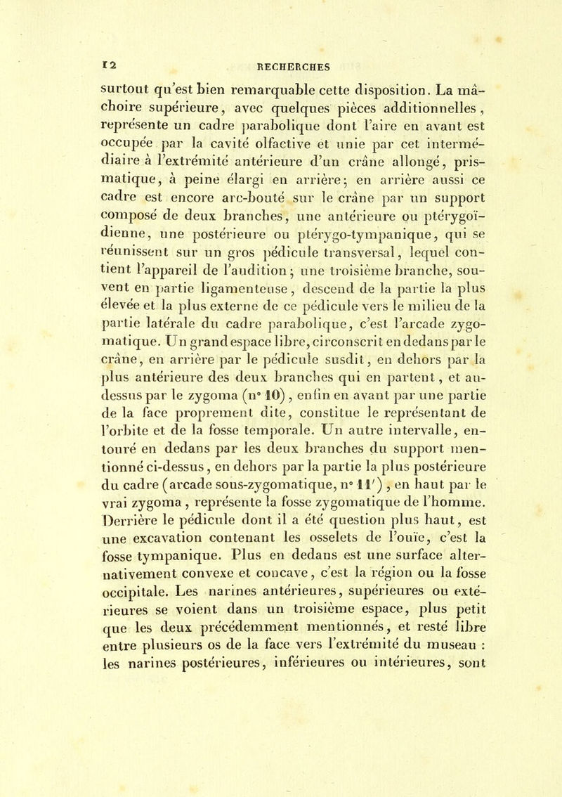 surtout qu'est bien remarquable cette disposition. La mâ- choire supérieure, avec quelques pièces additionnelles, représente un cadre parabolique dont l'aire en avant est occupée par la cavité olfactive et unie par cet intermé- diaire à l'extrémité antérieure d'un crâne allongé, pris- matique, à peine élargi en arrière^ en arrière aussi ce cadre est encore arc-bouté sur le crâne par un support composé de deux branches, une antérieure ou ptérygoï- dienne, une postérieure ou ptérygo-tympanique, qui se reunissent sur un gros pédicule transversal, lequel con- tient l'appareil de l'audition ; une ti oisième branche, sou- vent en ])artie ligamenteuse, descend de la partie la plus élevée et la plus externe de ce pédicule vers le milieu de la partie latérale du cadre parabolique, c'est l'arcade zygo- matique. Un grand espace libre, circonscrit en dedans par le crâne, en arrière par le pédicule susdit, en dehors par la plus antérieure des deux branches qui en partent, et au- dessus par le zygoma (n° 10) , enfm en avant par une partie de la face proprement dite, constitue le représentant de l'orbite et de la fosse temporale. Un autre intervalle, en- touré en dedans par les deux branches du support men- tionné ci-dessus, en dehors par la partie la plus postérieure du cadre (arcade sous-zygomatique, n 11') , en haut par le vrai zygoma , représente la fosse zygomatique de l'homme. Derrière le pédicule dont il a été question plus haut, est une excavation contenant les osselets de l'ouïe, c'est la fosse tympanique. Plus en dedans est une surface alter- nativement convexe et concave, c'est la région ou la fosse occipitale. Les narines antérieures, supérieures ou exté- rieures se voient dans un troisième espace, plus petit que les deux précédemment mentionnés, et resté libre entre plusieurs os de la face vers l'extrémité du museau : les narines postérieures, inférieures ou intérieures, sont
