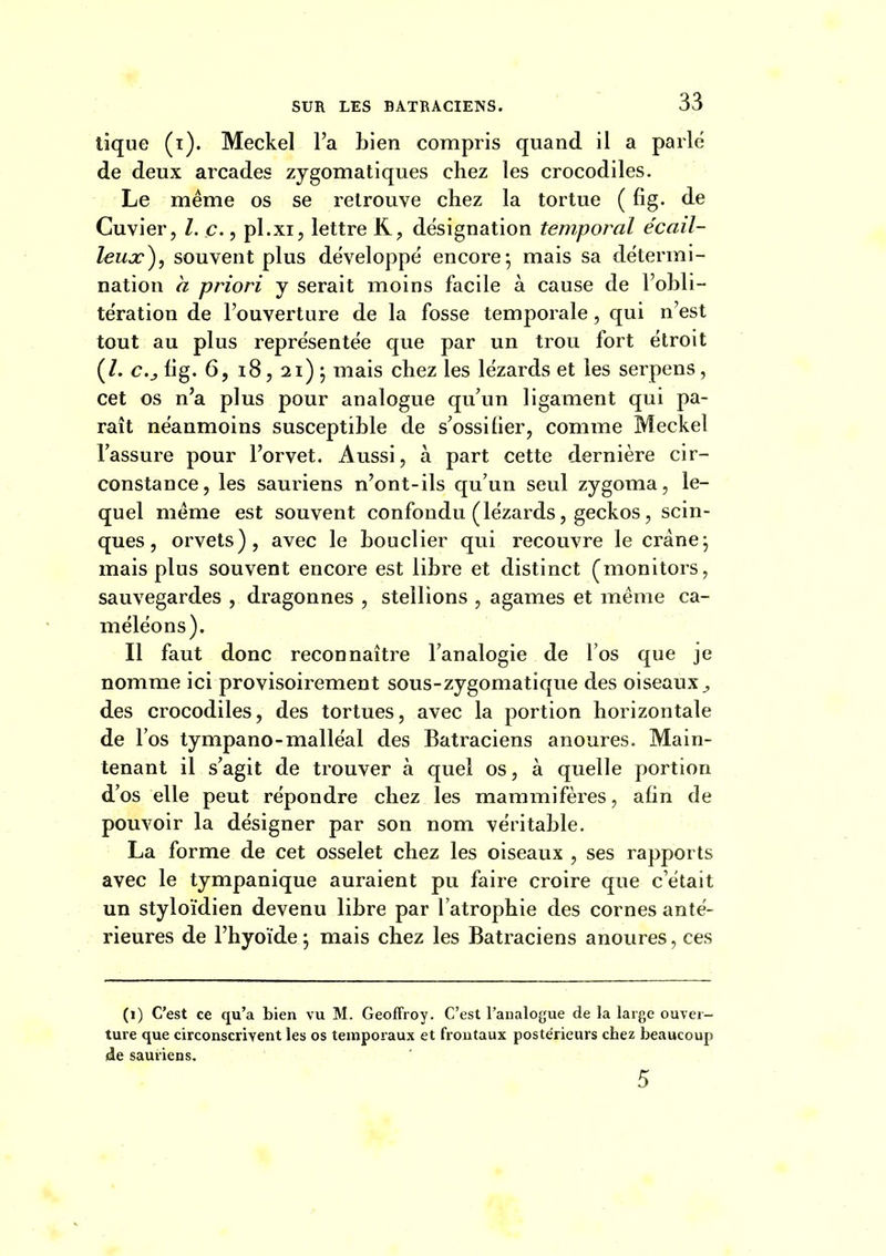 tique (i). Meckel l'a Lien compris quand il a parle de deux arcades zygomatiques chez les crocodiles. Le même os se retrouve chez la tortue ( fig. de Cuvier, /. c., pl.xi, lettre K, désignation temporal écail- leua:), souvent plus développé encore; mais sa détermi- nation à priori y serait moins facile à cause de l'obli- tération de l'ouverture de la fosse temporale, qui n'est tout au plus représentée que par un trou fort étroit (/. c.j lig. 6, i8, 2i) ; mais chez les lézards et les serpens, cet os n'a plus pour analogue qu'un ligament qui pa- raît néanmoins susceptible de s'ossiiier, comme Meckel l'assure pour l'orvet. Aussi, à part cette dernière cir- constance, les sauriens n'ont-ils qu'un seul zygoma, le- quel même est souvent confondu (lézards, geckos, scin- ques, orvets), avec le bouclier qui recouvre le crâne; mais plus souvent encore est libre et distinct (monitors, sauvegardes , dragonnes , stellions , agames et même ca- méléons). Il faut donc reconnaître l'analogie de l'os que je nomme ici provisoirement sous-zygomatique des oiseaux^ des crocodiles, des tortues, avec la portion horizontale de l'os tympano-malléal des Batraciens anoures. Main- tenant il s'agit de trouver à quel os, à quelle portion d'os elle peut répondre chez les mammifères, afin de pouvoir la désigner par son nom véritable. La forme de cet osselet chez les oiseaux , ses rapports avec le tympanique auraient pu faire croire que c'était un styloïdien devenu libre par l'atrophie des cornes anté- rieures de l'hyoïde ; mais chez les Batraciens anoures, ces (i) C'est ce qu'a bien vu M. Geoffroy. C'est l'analofjue de la large ouver- ture que circonscrivent les os temporaux et frontaux postérieurs chez beaucoup jie sauriens. 5