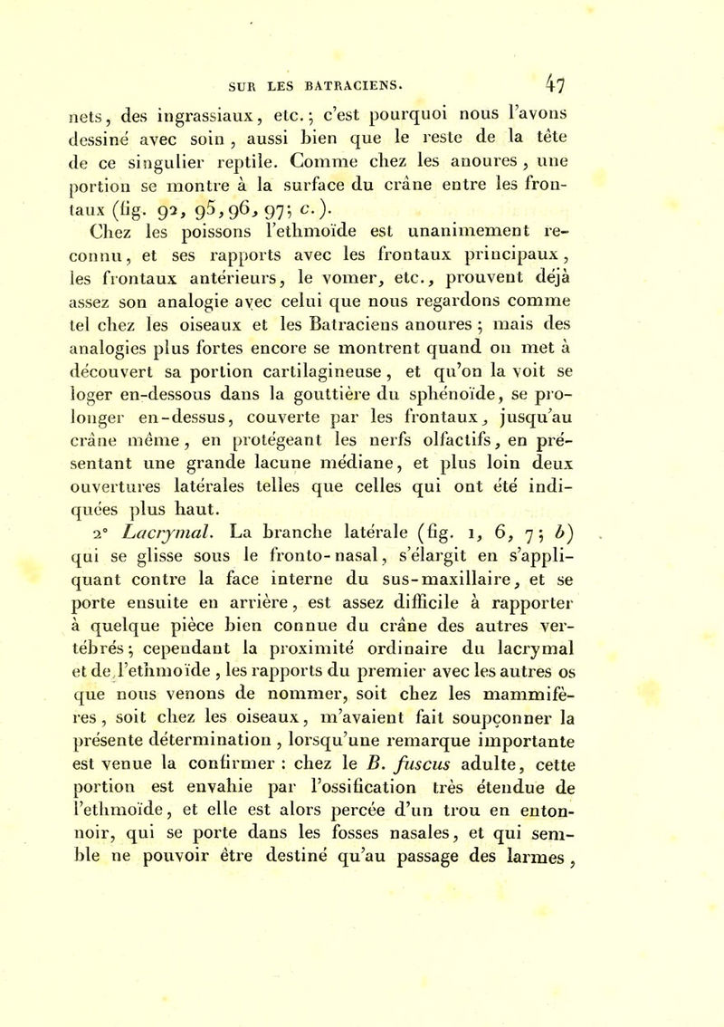 nets, des ingrassiaiix, etc. \ c'est pourquoi nous l'avons dessine avec soin, aussi bien que le reste de la téte de ce singulier reptile. Comme chez les anoures , une portion se montre à la surface du crâne entre les fron- taux (fig. 92, 95,96^ 97^ c). Chez les poissons l'ethmoïde est unanimement re- connu, et ses rapports avec les frontaux principaux, les frontaux antérieurs, le vomer, etc., prouvent déjà assez son analogie avec celui que nous regardons comme tel chez les oiseaux et les Batraciens anoures ; mais des analogies plus fortes encore se montrent quand on met à découvert sa portion cartilagineuse , et qu'on la voit se loger en-dessous dans la gouttière du sphénoïde, se pro- longer en-dessus, couverte par les frontauxjusqu'au crâne même , en protégeant les nerfs olfactifs, en pré- sentant une grande lacune médiane, et plus loin deux ouvertures latérales telles que celles qui ont été indi- quées plus haut. 1° Lacrymal. La branche latérale (fig. i, 6, 75 b) qui se glisse sous le fronto- nasal, s'élargit en s'appli- quant contre la face interne du sus-maxillaire, et se porte ensuite en arrière, est assez difficile à rapporter à quelque pièce bien connue du crâne des autres ver- tébrés ç, cependant la proximité ordinaire du lacrymal et de l'ethmoïde , les rapports du premier avec les autres os que nous venons de nommer, soit chez les mammifè- res , soit chez les oiseaux, m'avaient fait soupçonner la présente détermination , lorsqu'une remarque importante est venue la confirmer : chez le B. fuscus adulte, cette portion est envahie par l'ossification très étendue de l'ethmoïde, et elle est alors percée d'un trou en enton- noir, qui se porte dans les fosses nasales, et qui sem- ble ne pouvoir être destiné qu'au passage des larmes ,