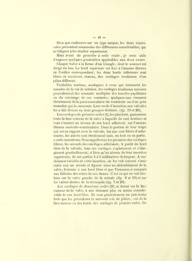 Bien que conformés sur un type unique, les deux venti-i- cules présentent néanmoins des différences considérables, qui m'obligent à les étudier séparément. Mais avant de procéder à cette étude , je crois utile d'exposer quelques généralités applicables aux deux cœurs. Chaque valve a la forme d'un triangle, dont le sommet est dirigé en bas. Le bord supérieur est fixé à l'anneau fibreux de l'orifice correspondant ; les deux bords inférieurs sont libres et reçoivent, chacun, des cordages tendineux d'un pilier différent. Véritables tendons, analogues à ceux qui terminent les muscles de la vie de relation, les cordages tendineux naissent généralement des sommets multiples des muscles pajjillaires ou du voisinage de ces sommets ; quelques-uns viennent directement delà paroi musculaire du ventricule ou d'un petit mamelon qui la surmonte. Leur mode d'insertion aux valvules les a fait diviser en trois groupes distincts, (fig. '19 et 20), hescordac/es de premier ordre (I), les plus forts, parcourent toute la face externe de la valve à laquelle ils sont destinés et vont s'insérer au niveau de son bord adhérent, sur l'anneau libreux auriculo-ventriculaire. Dans la portion de leur trajet qui est en rapport avec la valvule, les uns sont libres d'adhé- rences, les autres sont étroitement unis, en tout ou en partie, à cette membrane.Nous appellerons les premiers des cordages libres, les seconds des cordages adhérents. A partir du bord libre de la valvule, tous ces cordages s'aplatissent et s'élar- gissent graduellement, si bien qu'au niveau de leur insertion supérieure, ils ont parfois 4 à 5 millimètres de largeur. A une distance variable de cette insertion, on les voit souvent s'unir entre eux en arcade et figurer ainsi un dédoublement de la valve, festonné à son bord libre et que Vieussens a comparé aux falbalas des robes de nos dames. C'est ce qui se voit très- bien sur la valve gauche de la mitrale {ûg. 8 et 1*J) et sur les valves droites de la tricuspide {fig. 7 et 20). Les cordages de deuxième ordre (II) se fixent sur la face externe de la valve, à une distance plus ou moins considé- rable de son bord libre. Ils sont généralement un peu moins forts que les précédents et naissent soit de piliers, soit de la face interne ou des bords des cordages de premier ordre. De