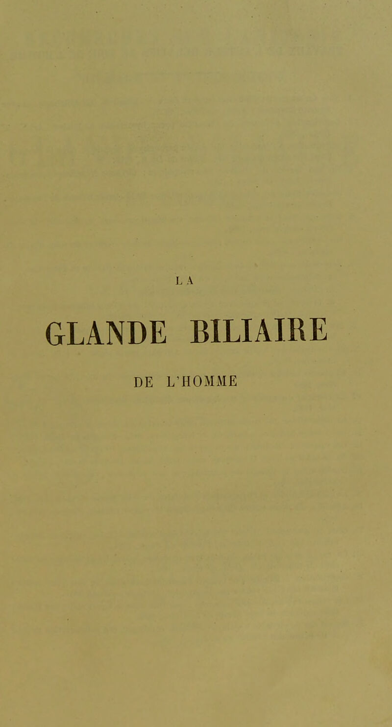 GLANDE BILIAIRE DE L'HOMME