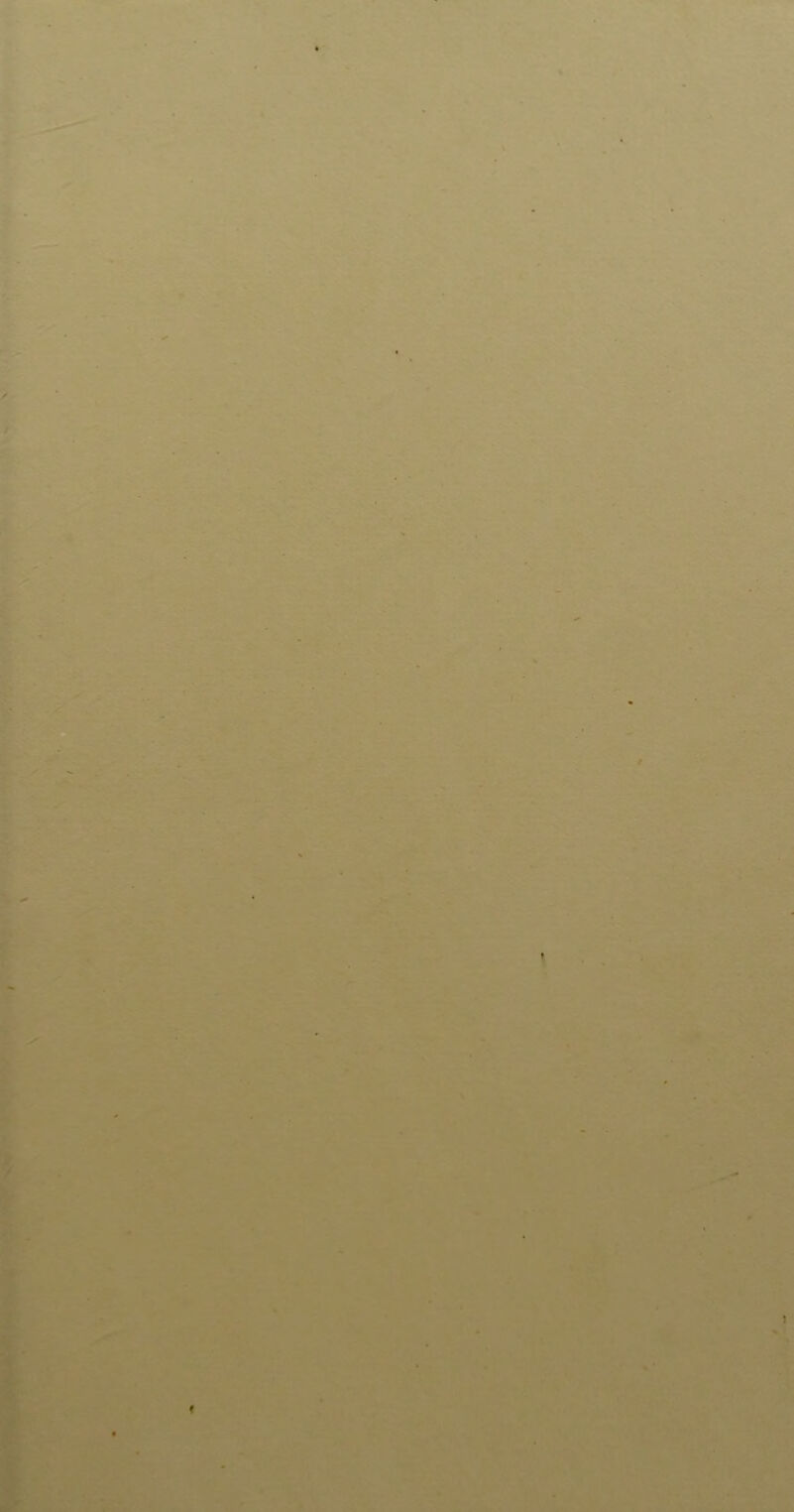 *'» ^v.