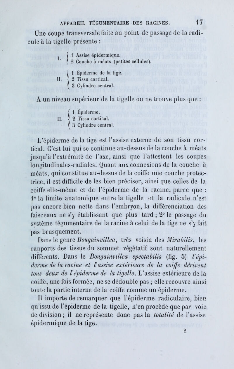 Une coupe transversale faite au point de passage de la radi- cule à la tigelle présente : A un niveau supérieur de la tigelle on ne trouve plus que : Îl Épiderme. 2 Tissu cortical. 3 Cylindre central. L’épiderme de la tige est l’assise externe de son tissu cor- tical. C’est lui qui se continue au-dessus de la couche à méats jusqu’à l’extrémité de l’axe, ainsi que l’attestent les coupes longitudinales-radiales. Quant aux connexions de la couche à méats, qui constitue au-dessus de la coiffe une couche protec- trice, il est difficile de les bien préciser, ainsi que celles de la coiffe elle-même et de l’épiderme de la racine, parce que : 1°la limite anatomique entre la tigelle et la radicule n’est pas encore bien nette dans l’embryon, la différenciation des faisceaux ne s’y établissant que plus tard ; 2° le passage du système tégumentaire de la racine à celui de la tige ne s’y fait pas brusquement. Dans le genre Bougainvillea, très voisin des Mirabilis, les rapports des tissus du sommet végétatif sont naturellement différents. Dans le Bougainvillea spectabilis (fig. 5) l’épi- derme de la racine et l’assise extérieure de la coiffe dérivent tous deux de Vépiderme de la tigelle. L’assise extérieure de la coiffe, une fois formée, ne se dédouble pas ; elle recouvre ainsi toute la partie interne de la coiffé comme un épiderme. Il importe de remarquer que l’épiderme radiculaire, bien qu’issu de l’épiderme de la tigelle, n’en procède que par voie de division ; il ne représente donc pas la totalité de l’assise épidermique de la tige. 1 Assise épidermique. 2 Couche à méats (petites cellules). L 1 Épiderme de la tige. II. ( 2 Tissu cortical, f 3 Cylindre central. 2