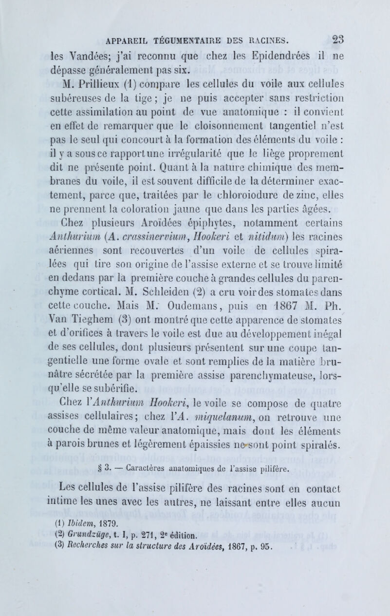 les Yandées; j’ai reconnu que chez les Epidendrées il ne dépasse généralement pas six. M. Priilieux (1) compare les cellules du voile aux cellules subéreuses de la tige ; je ne puis accepter sans restriction cette assimilation au point de vue anatomique : il convient en effet de remarquer que le cloisonnement tangentiel n’est pas le seul qui concourt à la formation des éléments du voile : il y a sous ce rapport une irrégularité que le liège proprement dit ne présente point. Quant à la nature chimique des mem- branes du voile, il est souvent difficile de la déterminer exac- tement, parce que, traitées par le ehloroiodure de zinc, elles ne prennent la coloration jaune que dans les parties âgées. Chez plusieurs Aroïdées épiphytes, notamment certains Anthurium (A. crassinervium, Hookeri et nitidum) les racines aériennes sont recouvertes d’un voile de cellules spira- lées qui tire son origine de l’assise externe et se trouve limité en dedans par la première couche à grandes cellules du paren- chyme cortical. M. Schleiden (2) a cru voir des stomates dans cette couche. Mais M: Oudemans, puis en 1867 M. Ph. Yan Tieghem (3) ont montré que cette apparence de stomates et d’orifices à travers le voile est due au développement inégal de ses cellules, dont plusieurs présentent sur une coupe tan- gentielle une forme ovale et sont remplies de la matière bru- nâtre sécrétée par la première assise parenchymateuse, lors- qu’elle se subérifie. Chez VAnthurium Hookeri, le voile se compose de quatre assises cellulaires; chez VA. miquelanum, on retrouve une couche de même valeur anatomique, mais dont les éléments à parois brunes et légèrement épaissies ne^sont point spiralés. .§ 3. — Caractères anatomiques de l’assise pilifère. Les cellules de l’assise pilifère des racines sont en contact intime les unes avec les autres, ne laissant entre elles aucun (1) Ibidem, 1879. (2) Grundzüge, t. I, p. 271, 2e édition. (3) Recherches sur la structure des Aroïdées, 1867, p. 95.