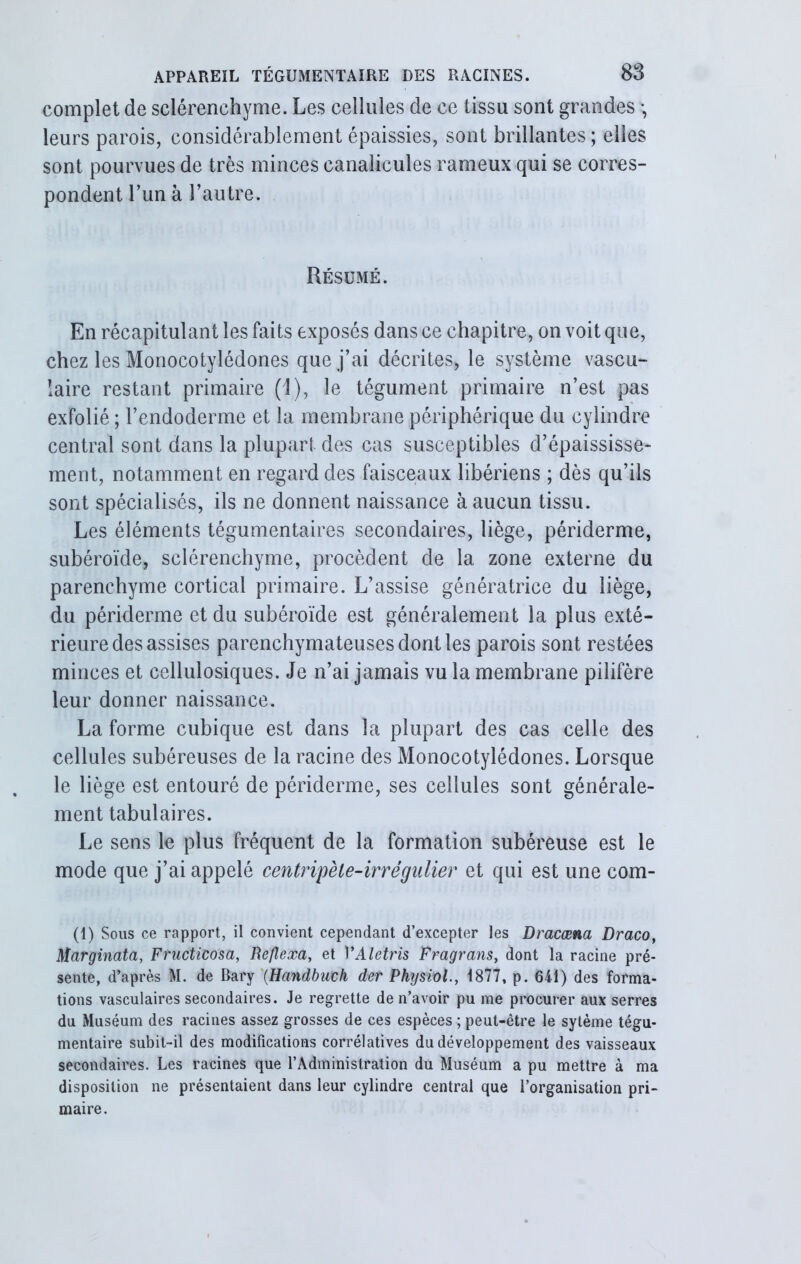 complet de sclérenchyme. Les cellules de ce tissu sont grandes -, leurs parois, considérablement épaissies, sont brillantes ; elles sont pourvues de très minces canalicules rameux qui se corres- pondent l’un à l’autre. Résumé. En récapitulant les faits exposés dans ce chapitre, on voit que, chez les Monocotylédones que j’ai décrites, le système vascu- laire restant primaire (1), le tégument primaire n’est pas exfolié ; l’endoderme et la membrane périphérique du cylindre central sont dans la plupart des cas susceptibles d’épaississe- ment, notamment en regard des faisceaux libériens ; dès qu’ils sont spécialisés, ils ne donnent naissance à aucun tissu. Les éléments tégumentaires secondaires, liège, périderme, subéroïde, sclérenchyme, procèdent de la zone externe du parenchyme cortical primaire. L’assise génératrice du liège, du périderme et du subéroïde est généralement la plus exté- rieure des assises parenchymateuses dont les parois sont restées minces et cellulosiques. Je n’ai jamais vu la membrane pilifère leur donner naissance. La forme cubique est dans la plupart des cas celle des cellules subéreuses de la racine des Monocotylédones. Lorsque le liège est entouré de périderme, ses cellules sont générale- ment tabulaires. Le sens le plus fréquent de la formation subéreuse est le mode que j’ai appelé centripèle-irrégulier et qui est une com- (1) Sous ce rapport, il convient cependant d’excepter les Dracœna Draco, Marginata, Fructicosa, Reflexa, et VAletris Fragrans, dont la racine pré- sente, d’après M. de Bary (Handbuch der Physiûl., 1877, p. 641) des forma- tions vasculaires secondaires. Je regrette de n’avoir pu me procurer aux serres du Muséum des racines assez grosses de ces espèces ; peut-être le sytème tégu- mentaire subit-il des modifications corrélatives du développement des vaisseaux secondaires. Les racines que l’Administration du Muséum a pu mettre à ma disposition ne présentaient dans leur cylindre central que l’organisation pri- maire.