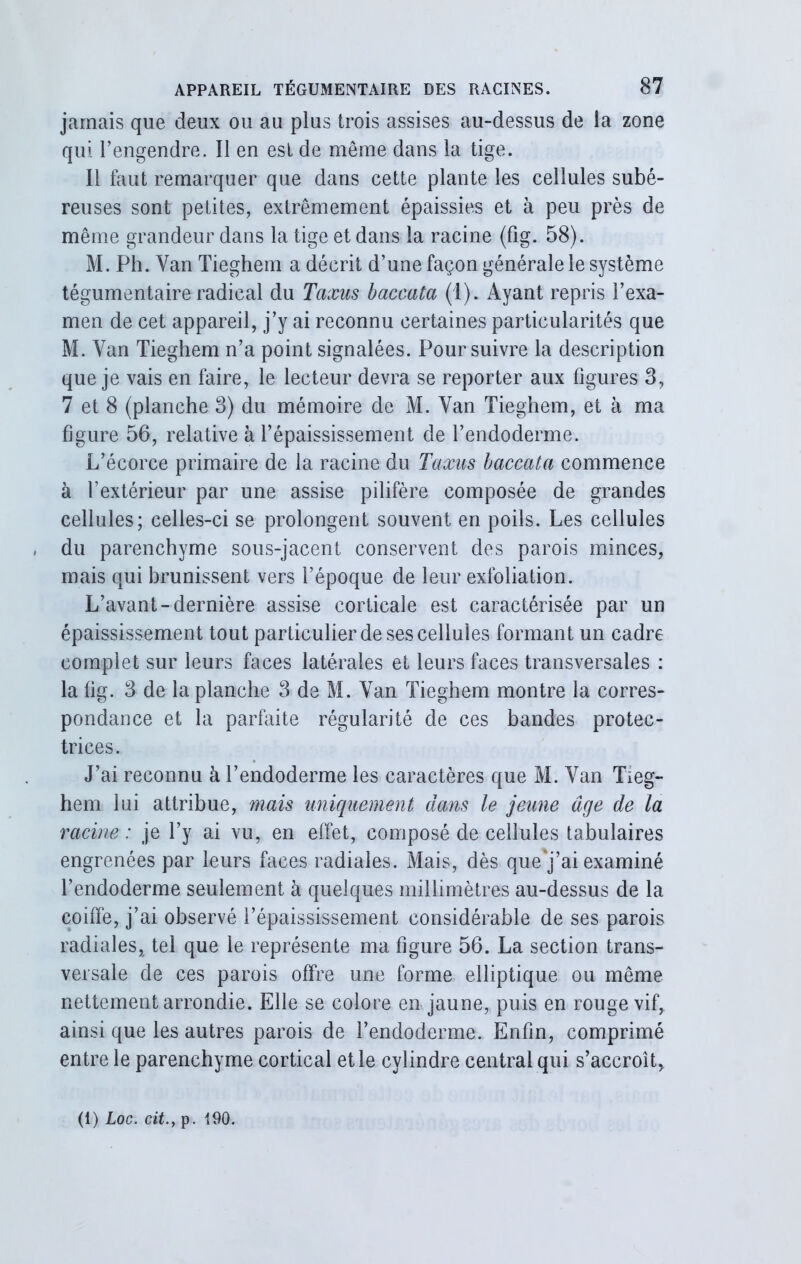 jamais que deux ou au plus trois assises au-dessus de la zone qui l’engendre. Il en est de même dans la tige. Il faut remarquer que dans cette plante les cellules subé- reuses sont petites, extrêmement épaissies et à peu près de même grandeur dans la tige et dans la racine (fîg. 58). M. Ph. Yan Tieghem a décrit d’une façon générale le système tégumentaire radical du Taxus baccata (1). Ayant repris l’exa- men de cet appareil, j’y ai reconnu certaines particularités que M. Van Tieghem n’a point signalées. Poursuivre la description que je vais en faire, le lecteur devra se reporter aux figures 3, 7 et 8 (planche 3) du mémoire de M. Yan Tieghem, et à ma figure 56, relative à l’épaississement de l’endoderme. L’écorce primaire de la racine du Taxus baccata commence à l’extérieur par une assise pilifère composée de grandes cellules; celles-ci se prolongent souvent en poils. Les cellules du parenchyme sous-jacent conservent des parois minces, mais qui brunissent vers l’époque de leur exfoliation. L’avant-dernière assise corticale est caractérisée par un épaississement tout particulier de ses cellules formant un cadre complet sur leurs faces latérales et leurs faces transversales : la fig. 3 de la planche 3 de M. Yan Tieghem montre la corres- pondance et la parfaite régularité de ces bandes protec- trices. J’ai reconnu à l’endoderme les caractères que M. Van Tieg- hem lui attribue, mais uniquement dans le jeune âge de la racine : je l’y ai vu, en effet, composé de cellules tabulaires engrenées par leurs faces radiales. Mais, dès que'j’ai examiné l’endoderme seulement à quelques millimètres au-dessus de la coiffe, j’ai observé l’épaississement considérable de ses parois radiales, tel que le représente ma figure 56. La section trans- versale de ces parois offre une (orme elliptique ou même nettement arrondie. Elle se colore en jaune, puis en rouge vif, ainsi que les autres parois de l’endoderme. Enfin, comprimé entre le parenchyme cortical et le cylindre central qui s’accroît,