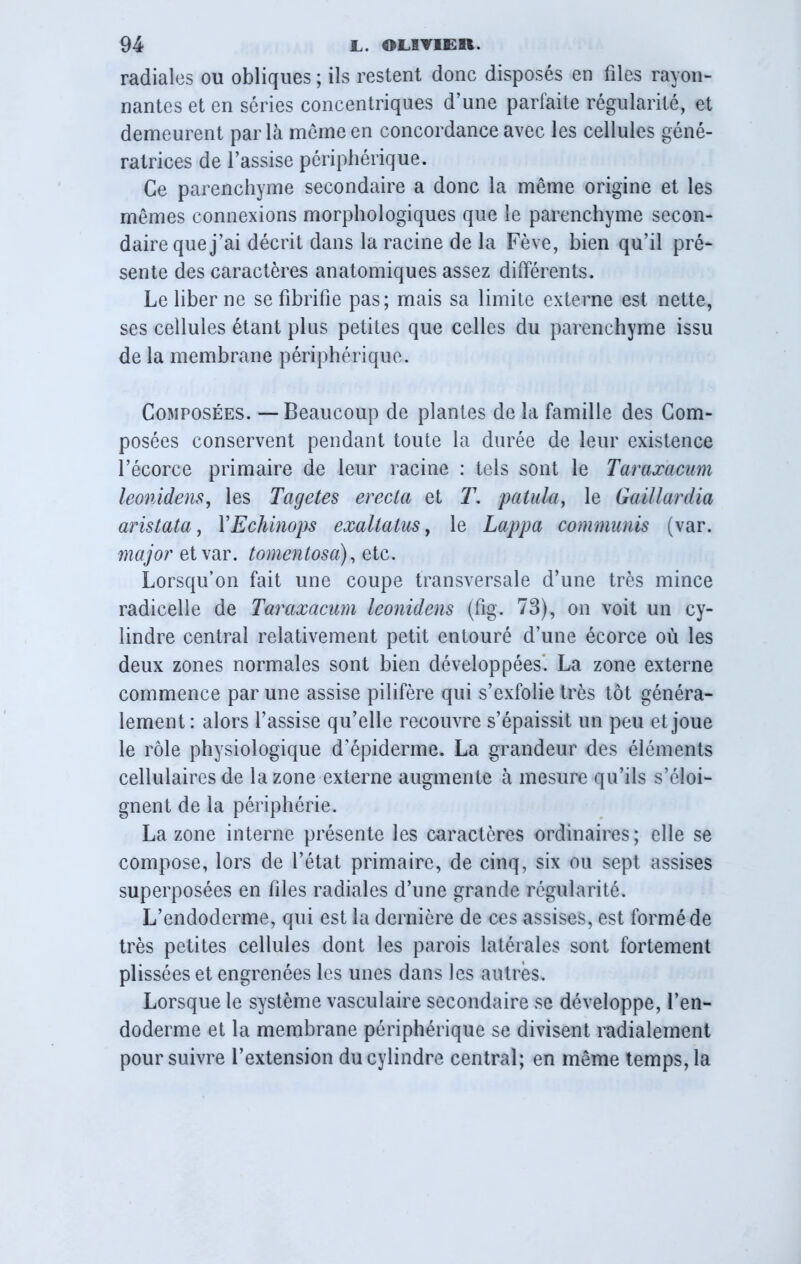 radiales ou obliques ; ils restent donc disposés en files rayon- nantes et en séries concentriques d’une parfaite régularité, et demeurent parla meme en concordance avec les cellules géné- ratrices de l’assise périphérique. Ce parenchyme secondaire a donc la même origine et les mêmes connexions morphologiques que le parenchyme secon- daire que j’ai décrit dans la racine de la Fève, bien qu’il pré- sente des caractères anatomiques assez différents. Le liber ne se fibrifie pas; mais sa limite externe est nette, ses cellules étant plus petites que celles du parenchyme issu de la membrane périphérique. Composées. — Beaucoup de plantes de la famille des Com- posées conservent pendant toute la durée de leur existence l’écorce primaire de leur racine : tels sont le Taraxacum leonidens, les Tagetes erecta et T. patula, le Gaillardia aristata, YEchinops exaltalus, le Lappa commuais (var. major et var. tomentosa), etc. Lorsqu’on fait une coupe transversale d’une très mince radicelle de Taraxacum leonidens (fig. 73), on voit un cy- lindre central relativement petit entouré d’une écorce où les deux zones normales sont bien développées. La zone externe commence par une assise pilifère qui s’exfolie très tôt généra- lement: alors l’assise qu’elle recouvre s’épaissit un peu et joue le rôle physiologique d’épiderme. La grandeur des éléments cellulaires de la zone externe augmente à mesure qu’ils s’éloi- gnent de la périphérie. La zone interne présente les caractères ordinaires; elle se compose, lors de l’état primaire, de cinq, six ou sept assises superposées en files radiales d’une grande régularité. L’endoderme, qui est la dernière de ces assises, est formé de très petites cellules dont les parois latérales sont fortement plissées et engrenées les unes dans les autres. Lorsque le système vasculaire secondaire se développe, l’en- doderme et la membrane périphérique se divisent radialement poursuivre l’extension du cylindre central; en même temps, la