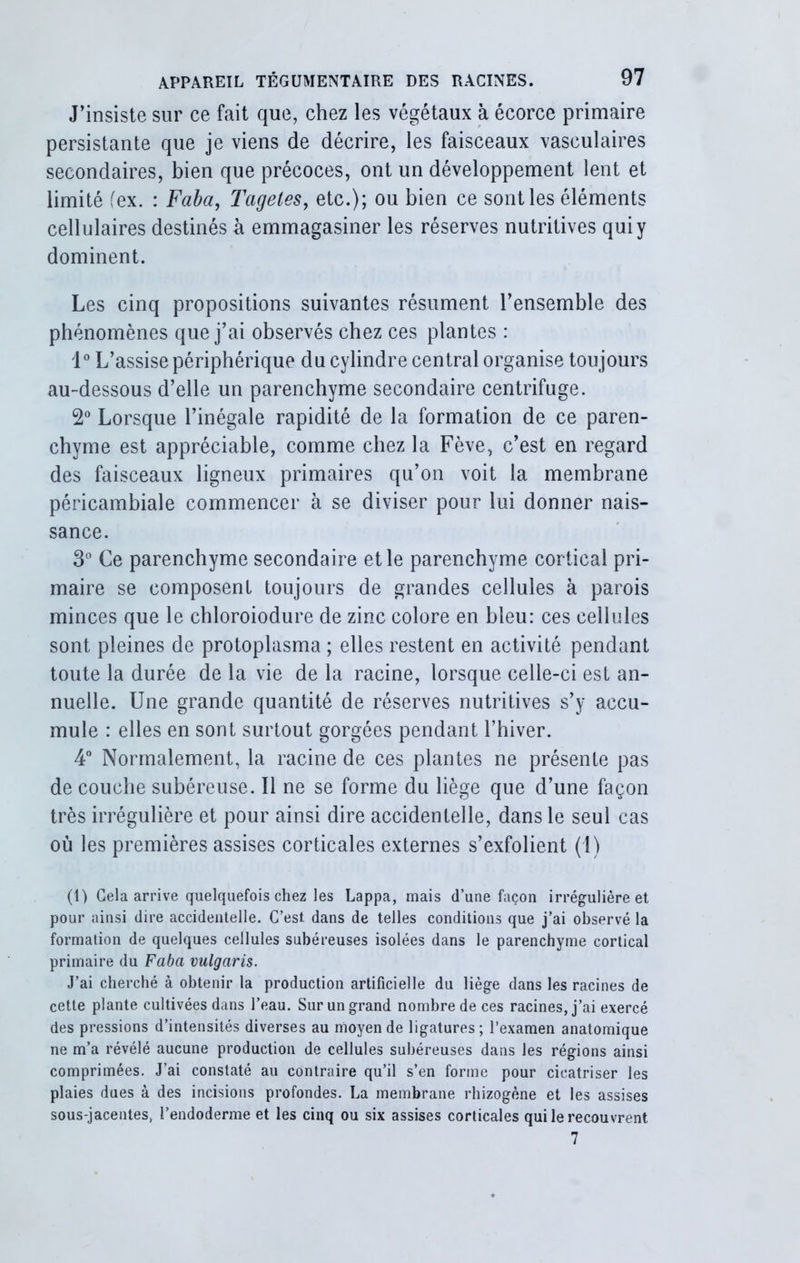 J’insiste sur ce fait que, chez les végétaux à écorce primaire persistante que je viens de décrire, les faisceaux vasculaires secondaires, bien que précoces, ont un développement lent et limité (ex. : Faba, Tagetes, etc.); ou bien ce sont les éléments cellulaires destinés à emmagasiner les réserves nutritives qui y dominent. Les cinq propositions suivantes résument l’ensemble des phénomènes que j’ai observés chez ces plantes : 1° L’assise périphérique du cylindre central organise toujours au-dessous d’elle un parenchyme secondaire centrifuge. 2° Lorsque l’inégale rapidité de la formation de ce paren- chyme est appréciable, comme chez la Fève, c’est en regard des faisceaux ligneux primaires qu’on voit la membrane péricambiale commencer à se diviser pour lui donner nais- sance. 3° Ce parenchyme secondaire et le parenchyme cortical pri- maire se composent toujours de grandes cellules à parois minces que le chloroiodure de zinc colore en bleu: ces cellules sont pleines de protoplasma ; elles restent en activité pendant toute la durée de la vie de la racine, lorsque celle-ci est an- nuelle. Une grande quantité de réserves nutritives s’y accu- mule : elles en sont surtout gorgées pendant l’hiver. 4° Normalement, la racine de ces plantes ne présente pas de couche subéreuse. Il ne se forme du liège que d’une façon très irrégulière et pour ainsi dire accidentelle, dans le seul cas où les premières assises corticales externes s’exfolient (1) (1) Cela arrive quelquefois chez les Lappa, mais d’une façon irrégulière et pour ainsi dire accidentelle. C’est dans de telles conditions que j’ai observé la formation de quelques cellules subéreuses isolées dans le parenchyme cortical primaire du Faba vulgaris. J’ai cherché à obtenir la production artificielle du liège dans les racines de cette plante cultivées dans l’eau. Sur un grand nombre de ces racines, j’ai exercé des pressions d’intensités diverses au moyen de ligatures; l’examen anatomique ne m’a révélé aucune production de cellules subéreuses dans les régions ainsi comprimées. J’ai constaté au contraire qu’il s’en forme pour cicatriser les plaies dues à des incisions profondes. La membrane rhizogène et les assises sous-jacentes, l’endoderme et les cinq ou six assises corticales qui le recouvrent 7