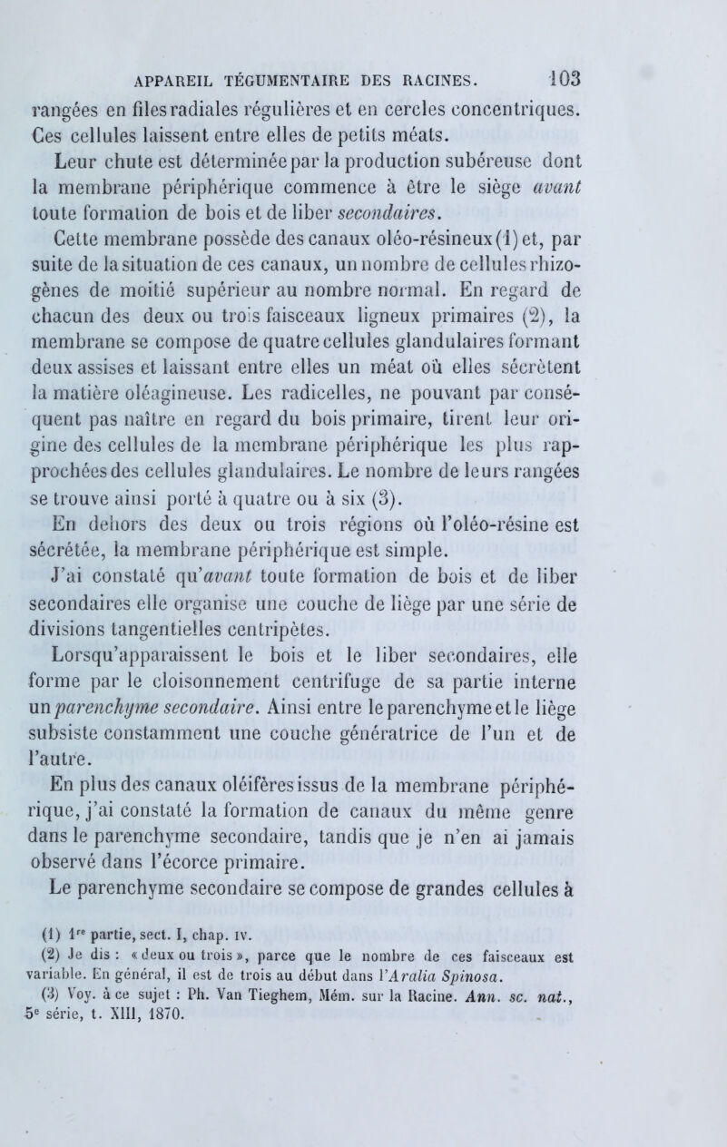 rangées en files radiales régulières et en cercles concentriques. Ces cellules laissent entre elles de petits méats. Leur chute est déterminée par la production subéreuse dont la membrane périphérique commence à être le siège avant toute formation de bois et de liber secondaires. Cette membrane possède des canaux oléo-résineux(i)et, par suite de la situation de ces canaux, un nombre de cellules rhizo- gènes de moitié supérieur au nombre normal. En regard de chacun des deux ou trois faisceaux ligneux primaires (2), la membrane se compose de quatre cellules glandulaires formant deux assises et laissant entre elles un méat ou elles sécrètent la matière oléagineuse. Les radicelles, ne pouvant par consé- quent pas naître en regard du bois primaire, tirent leur ori- gine des cellules de la membrane périphérique les plus rap- prochées des cellules glandulaires. Le nombre de leurs rangées se trouve ainsi porté h quatre ou à six (3). En dehors des deux ou trois régions où foléo-résine est sécrétée, la membrane périphérique est simple. J’ai constaté qu'avant toute formation de bois et de liber secondaires elle organise une couche de liège par une série de divisions tangentieiles centripètes. Lorsqu’apparaissent le bois et le liber secondaires, elle forme par le cloisonnement centrifuge de sa partie interne un parenchy me secondaire. Ainsi entre le parenchyme et le liège subsiste constamment une couche génératrice de l’un et de l’autre. En plus des canaux oléifères issus de la membrane périphé- rique, j’ai constaté la formation de canaux du même genre dans le parenchyme secondaire, tandis que je n’en ai jamais observé dans l’écorce primaire. Le parenchyme secondaire se compose de grandes cellules à (1) lre partie, sect. I, chap. iv. (2) Je dis: « deux ou trois », parce que le nombre de ces faisceaux est variable. En général, il est de trois au début dans YAralia Spinosa. (3) Voy. à ce sujet : Ph. Van Tieghem, Mém. sur la Racine. Ann. sc. nai., 5e série, t. XIII, 1870.