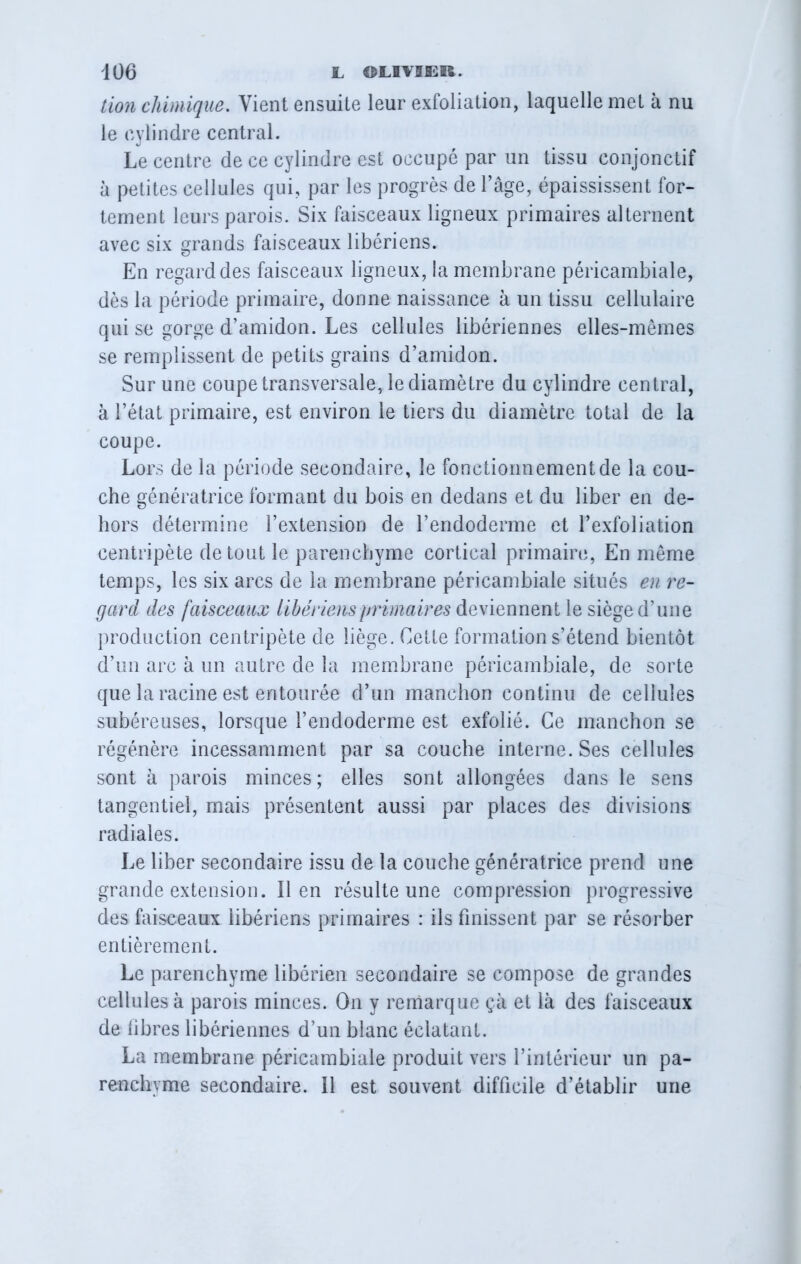 lion chimique. Vient ensuite leur exfoliation, laquelle met à nu le cylindre central. Le centre de ce cylindre est occupé par un tissu conjonctif à petites cellules qui, par les progrès de l’âge, épaississent for- tement leurs parois. Six faisceaux ligneux primaires alternent avec six grands faisceaux libériens. En regard des faisceaux ligneux, la membrane péricambiale, dès la période primaire, donne naissance à un tissu cellulaire qui se gorge d’amidon. Les cellules libériennes elles-mêmes se remplissent de petits grains d’amidon. Sur une coupe transversale, le diamètre du cylindre central, à l’état primaire, est environ le tiers du diamètre total de la coupe. Lors de la période secondaire, le fonctionnement de la cou- che génératrice formant du bois en dedans et du liber en de- hors détermine l’extension de l’endoderme et l’exfoliation centripète de tout le parenchyme cortical primaire, En même temps, les six arcs de la membrane péricambiale situés en re- gard des faisceaux libériens primaires deviennent le siège d’une production centripète de liège. Cette formation s’étend bientôt d’un arc à un autre de la membrane péricambiale, de sorte que la racine est entourée d’un manchon continu de cellules subéreuses, lorsque l’endoderme est exfolié. Ce manchon se régénère incessamment par sa couche interne. Ses cellules sont à parois minces ; elles sont allongées dans le sens tangentiel, mais présentent aussi par places des divisions radiales. Le liber secondaire issu de la couche génératrice prend une grande extension. lien résulte une compression progressive des faisceaux libériens primaires : ils finissent par se résorber entièrement. Le parenchyme libérien secondaire se compose de grandes cellules à parois minces. On y remarque çà et là des faisceaux de libres libériennes d’un blanc éclatant. La membrane péricambiale produit vers l’intérieur un pa- renchyme secondaire. 11 est souvent difficile d’établir une