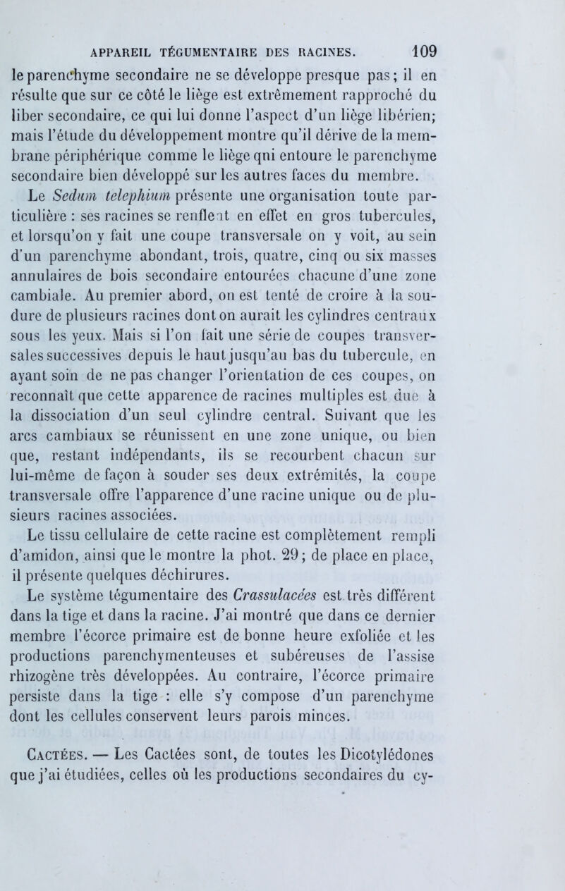 le parenchyme secondaire ne se développe presque pas; il en résulte que sur ce côté le liège est extrêmement rapproché du liber secondaire, ce qui lui donne l’aspect d’un liège libérien; mais l’étude du développement montre qu’il dérive de la mem- brane périphérique comme le liège qui entoure le parenchyme secondaire bien développé sur les autres faces du membre. Le Sedum telephium présente une organisation toute par- ticulière : ses racines se renfle at en effet en gros tubercules, et lorsqu’on y fait une coupe transversale on y voit, au sein d’un parenchyme abondant, trois, quatre, cinq ou six masses annulaires de bois secondaire entourées chacune d’une zone cambiale. Au premier abord, on est tenté de croire à la sou- dure de plusieurs racines dont on aurait les cylindres centraux sous les yeux. Mais si l’on fait une série de coupes transver- sales successives depuis le haut jusqu’au bas du tubercule, en ayant soin de ne pas changer l’orientation de ces coupes, on reconnaît que cette apparence de racines multiples est due à la dissociation d’un seul cylindre central. Suivant que les arcs cambiaux se réunissent en une zone unique, ou bien que, restant indépendants, ils se recourbent chacun sur lui-même de façon à souder ses deux extrémités, la coupe transversale offre l’apparence d’une racine unique ou de plu- sieurs racines associées. Le tissu cellulaire de cette racine est complètement rempli d’amidon, ainsi que le montre la phot. 29; de place en place, il présente quelques déchirures. Le système tégumentaire des Crassulacées est très différent dans la tige et dans la racine. J’ai montré que dans ce dernier membre l’écorce primaire est de bonne heure exfoliée et les productions parenchymenteuses et subéreuses de l’assise rhizogène très développées. Au contraire, l’écorce primaire persiste dans la tige : elle s’y compose d’un parenchyme dont les cellules conservent leurs parois minces. Cactées. — Les Cactées sont, de toutes les Dicotylédones que j’ai étudiées, celles où les productions secondaires du cy-