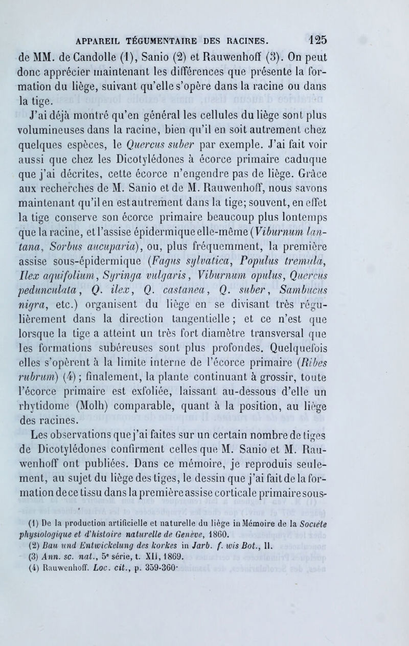 de MM. de Candolle (1), Sanio (2) et Rauwenhofï (3). On peut donc apprécier maintenant les différences que présente la for- mation du liège, suivant qu’elle s’opère dans la racine ou dans la tige. J’ai déjà montré qu’en général les cellules du liège sont plus volumineuses dans la racine, bien qu’il en soit autrement chez quelques espèces, le Quercus suber par exemple. J’ai fait voir aussi que chez les Dicotylédones à écorce primaire caduque que j’ai décrites, cette écorce n’engendre pas de liège. Grâce aux recherches de M. Sanio et de M. Rauwenhofï, nous savons maintenant qu’il en est autrement dans la tige; souvent, en effet la tige conserve son écorce primaire beaucoup plus lontemps que la racine, et l’assise épidermique elle-même (Viburnum lan- tana, Sorbus aucuparia), ou, plus fréquemment, la première assise sous-épidermique (Fagus sylvatica, Populus tremula, Ilex aquifolium, Syringa vulgaris, Viburnum opulus, Quercus pedunculala, Q. ilex, Q. castanea, Q. suber, Sambucus nigra, etc.) organisent du liège en se divisant très régu- lièrement dans la direction tangentielle ; et ce n’est que lorsque la tige a atteint un très fort diamètre transversal que les formations subéreuses sont plus profondes. Quelquefois elles s’opèrent à la limite interne de l’écorce primaire (Ribes rubrum) (4) ; finalement, la plante continuant à grossir, toute l’écorce primaire est exfoliée, laissant au-dessous d’elle un rhytidome (Molh) comparable, quant à la position, au liège des racines. Les observations que j’ai faites sur un certain nombre de tiges de Dicotylédones confirment celles que M. Sanio et M. Rau- wenhoff ont publiées. Dans ce mémoire, je reproduis seule- ment, au sujet du liège des tiges, le dessin que j’ai fait de la for- mation de ce tissu dans la première assise corticale primaire sous*- (1) De la production artificielle et naturelle du liège in Mémoire de la Société physiologique et d’histoire naturelle de Genève, 1860. (2) Bau und Entwickelung des korkes in Jarh. f. ivis Bot., II. (3) Ann. sc. nai., 5e série, t. XII, 1869. (4) Rauwenhoff. Loc. cit., p. 359-360>