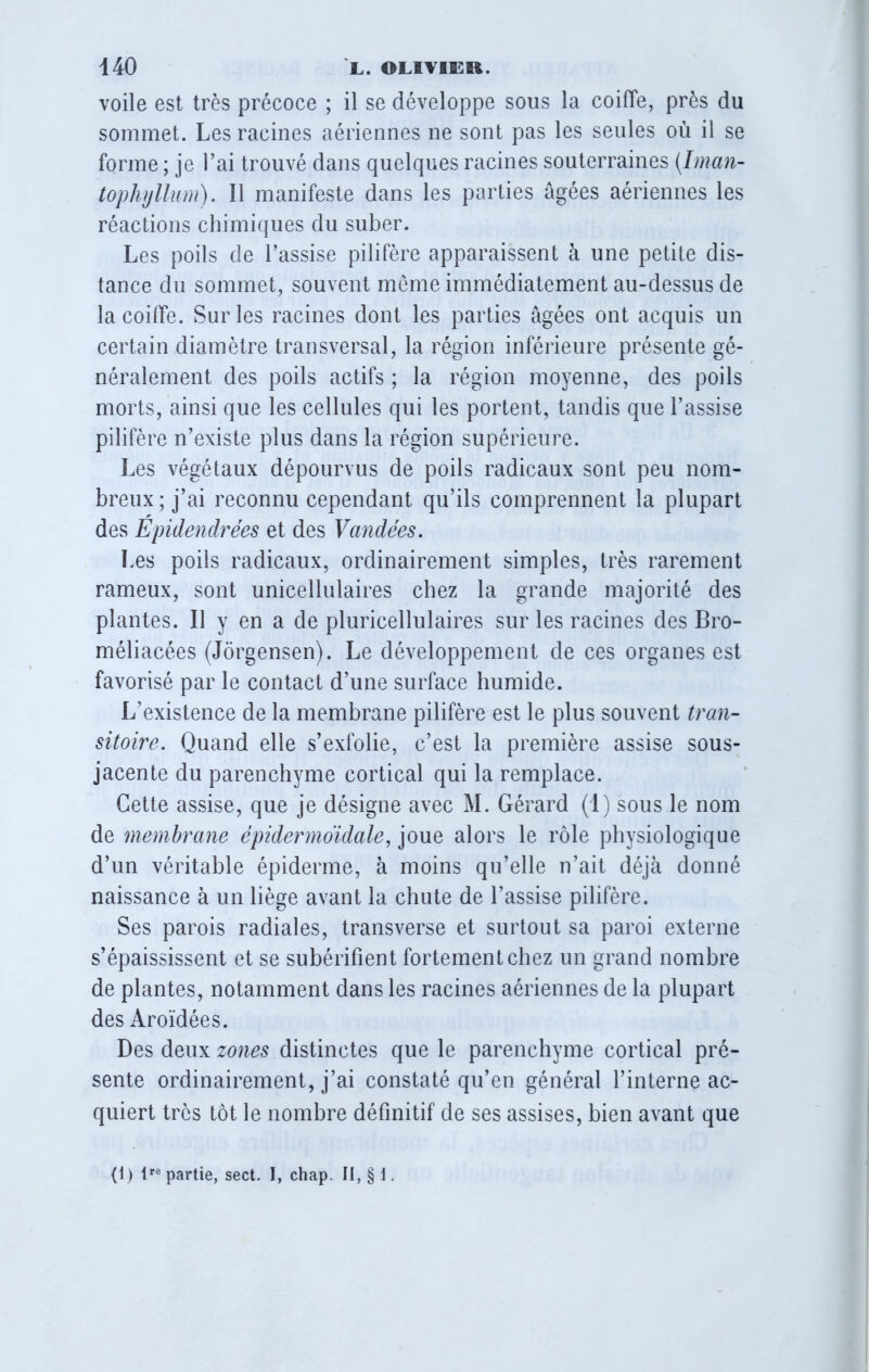 voile est très précoce ; il se développe sous la coiffe, près du sommet. Les racines aériennes ne sont pas les seules où il se forme ; je Y ai trouvé dans quelques racines souterraines (Iman- tophyllum). Il manifeste dans les parties âgées aériennes les réactions chimiques du suber. Les poils de l’assise pilifère apparaissent à une petite dis- tance du sommet, souvent meme immédiatement au-dessus de la coiffe. Sur les racines dont les parties âgées ont acquis un certain diamètre transversal, la région inférieure présente gé- néralement des poils actifs ; la région moyenne, des poils morts, ainsi que les cellules qui les portent, tandis que l’assise pilifère n’existe plus dans la région supérieure. Les végétaux dépourvus de poils radicaux sont peu nom- breux ; j’ai reconnu cependant qu’ils comprennent la plupart des Épidendrées et des Validées. Les poils radicaux, ordinairement simples, très rarement rameux, sont unicellulaires chez la grande majorité des plantes. Il y en a de pluricellulaires sur les racines des Bro- méliacées (Jôrgensen). Le développement de ces organes est favorisé par le contact d’une surface humide. L’existence de la membrane pilifère est le plus souvent tran- sitoire. Quand elle s’exfolie, c’est la première assise sous- jacente du parenchyme cortical qui la remplace. Cette assise, que je désigne avec M. Gérard (1) sous le nom de membrane épidermoïdale, joue alors le rôle physiologique d’un véritable épiderme, à moins qu’elle n’ait déjà donné naissance à un liège avant la chute de l’assise pilifère. Ses parois radiales, transverse et surtout sa paroi externe s’épaississent et se subérifient fortement chez un grand nombre de plantes, notamment dans les racines aériennes de la plupart des Aroïdées. Des deux zones distinctes que le parenchyme cortical pré- sente ordinairement, j’ai constaté qu’en général l’interne ac- quiert très tôt le nombre définitif de ses assises, bien avant que (1) lre partie, sect. I, chap. II, § \.