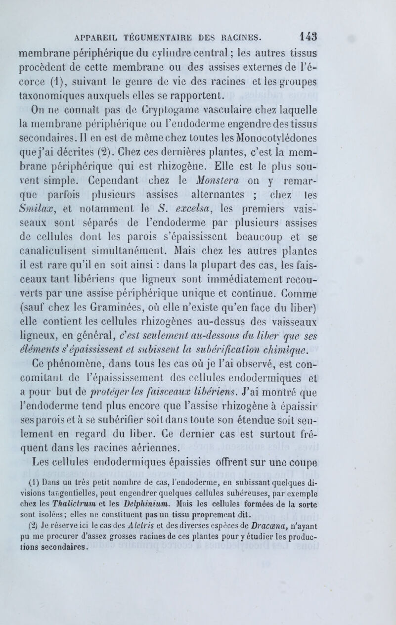 membrane périphérique du cylindre central ; les autres tissus procèdent de cette membrane ou des assises externes de l’é- corce (1), suivant le genre de vie des racines et les groupes taxonomiques auxquels elles se rapportent. On ne connaît pas de Cryptogame vasculaire chez laquelle la membrane périphérique ou l’endoderme engendre des tissus secondaires. Il en est de même chez toutes lesMonocotylédones que j’ai décrites (2). Chez ces dernières plantes, c’est la mem- brane périphérique qui est rhizogène. Elle est le plus sou- vent simple. Cependant chez le Monstera on y remar- que parfois plusieurs assises alternantes ; chez les Smilax, et notamment le S. excelsa, les premiers vais- seaux sont séparés de l’endoderme par plusieurs assises de cellules dont les parois s’épaississent beaucoup et se canaliculisent simultanément. Mais chez les autres plantes il est rare qu’il en soit ainsi : dans la plupart des cas, les fais- ceaux tant libériens que ligneux sont immédiatement recou- verts par une assise périphérique unique et continue. Comme (sauf chez les Graminées, où elle n’existe qu’en face du liber) elle contient les cellules rhizogènes au-dessus des vaisseaux ligneux, en général, c’est seulement au-dessous du liber que ses éléments s’épaississent et subissent la subérification chimique. Ce phénomène, dans tous les cas où je l’ai observé, est con- comitant de l’épaississement des cellules endodermiques et a pour but de protéger les faisceaux libériens. J’ai montré que l’endoderme tend plus encore que l’assise rhizogène à épaissir ses parois et a se subérifier soit dans toute son étendue soit seu- lement en regard du liber. Ce dernier cas est surtout fré- quent dans les racines aériennes. Les cellules endodermiques épaissies offrent sur une coupe (1) Dans un très petit nombre de cas, l’endoderme, en subissant quelques di- visions tangentielles, peut engendrer quelques cellules subéreuses, par exemple chez les Thalictrum et les Delphinium. Mais les cellules formées de la sorte sont isolées; elles ne constituent pas un tissu proprement dit. (2) Je réserve ici le cas des Aletris et des diverses espèces de Dracœna, n’ayant pu me procurer d’assez grosses racines de ces plantes pour y étudier les produc- tions secondaires.