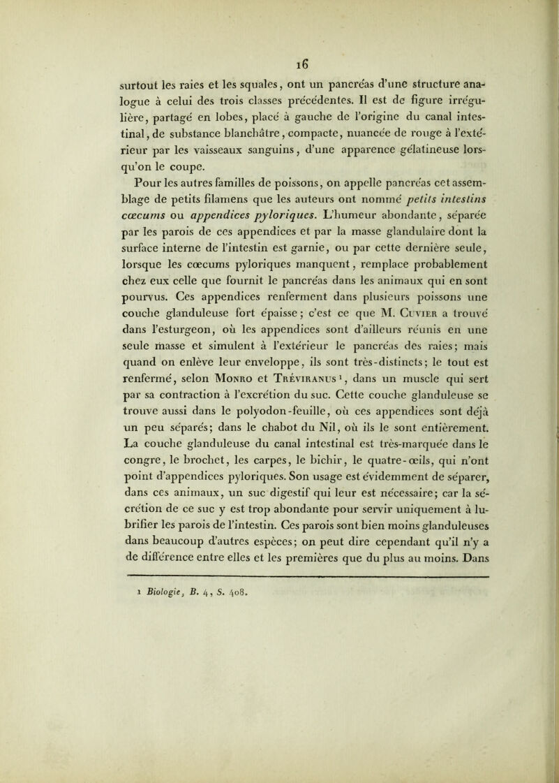 surtout les raies et les squales, ont un pancréas d’une structure ana- logue à celui des trois classes précédentes. Il est de figure irrégu- lière, partagé en lobes, placé à gauche de l’origine du canal intes- tinal, de substance blanchâtre, compacte, nuancée de rouge à l’exté- rieur par les vaisseaux sanguins, d’une apparence gélatineuse lors- qu’on le coupe. Pour les autres familles de poissons, on appelle pancréas cet assem- blage de petits filamens que les auteurs ont nommé petits intestins cæcums ou appendices pyloriques. L’humeur abondante, séparée par les parois de ces appendices et par la masse glandulaire dont la surface interne de l’intestin est garnie, ou par cette dernière seule, lorsque les cæcums pyloriques manquent, remplace probablement chez eux celle que fournit le pancréas dans les animaux qui en sont pourvus. Ces appendices renferment dans plusieurs poissons une couche glanduleuse fort épaisse ; c’est ce que M. Cuvier a trouvé dans l’esturgeon, où les appendices sont d’ailleurs réunis en une seule masse et simulent à l’extérieur le pancréas des raies; mais quand on enlève leur enveloppe, ils sont très - distincts ; le tout est renfermé, selon Monro et Tréviranlts 1, dans un muscle qui sert par sa contraction à l’excrétion du suc. Cette couche glanduleuse se trouve aussi dans le polyodon-feuille, où ces appendices sont déjà un peu séparés; dans le chabot du Nil, où ils le sont entièrement. La couche glanduleuse du canal intestinal est très-marquée dans le congre, le brochet, les carpes, le bichir, le quatre-œils, qui n’ont point d’appendices pyloriques. Son usage est évidemment de séparer, dans ces animaux, un suc digestif qui leur est nécessaire; car la sé- crétion de ce suc y est trop abondante pour servir uniquement à lu- brifier les parois de l’intestin. Ces parois sont bien moins glanduleuses dans beaucoup d’autres espèces; on peut dire cependant qu’il n’y a de différence entre elles et les premières que du plus au moins. Dans i Biologie, B. 4, S. 408.