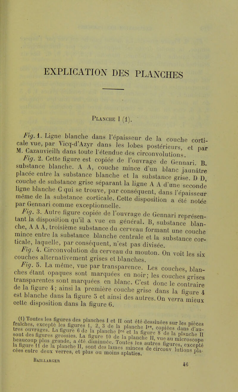 EXPLICATION DES PLANCHES Planche I (1). Fig. i. Ligne blanche dans l'épaisseur de la couche corti- cale vue, par Yicq-d Azyr dans les lobes postérieurs, et par M. Gazauvieilh dans toute l'étendue des circonvolutions Fig. 2. Cette figure est copiée de l'ouvrage de Gennari B substance blanche. A A, couche mince d'un blanc jaunâtre placée entre la substance blanche et la substance grke D D couche de substance grise séparant la ligne A A d'une seconde ligne blanche G qui se trouve, par conséquent, dans l'épaisseur même de la substance corticale. Cette disposition a été notée par bennari comme exceptionnelle. Fig. 3 Autre figure copiée de l'ouvrage de Gennari représen- tant la disposition qu il a vue en général. B, substance blan- che, A A A, troisième substance du cerveau formant une couche mince entre la substance blanche centrale et la substance cor ticale, laquelle, par conséquent, n'est pas divisée Fig. 4. Circonvolution du cerveau du mouton. On voit les siv couches alternativement grises et blanches /^^ 5. La même, vue par transparence. ' Les couches, blan- ches étant opaques sont marquées en noir; les couches ffrise. transparentes sont marquées en blanc. C'est donc le contraire de la figure 4; ainsi la première couche grise dans la figure 4 est blanche dans la figure 5 et ainsi des autres. On verra mienv cette disposition dans la figure 6. (1) Toutes les figures des planclies I et II ont été dessinéP-î inc r^-- fraîches, excepté les figures 1, 2 3 de la Xn^hp ire • - ^^^ P'^*^^s très ouvrages! La figure 6 do a planche 14^1 ^J'^ f^'i sout des figures grossies. La figuïe 10 de la nlauchl TT vn^ ^''^''^  beaucoup plus grande, a été dfminuée. Toutes Tes autr^^^^^^ la figure 11 de la planche II, sont des lames mLcp/Hp ^r.^^'^l^^^^ cées entre deux verres, et 'plus ou moSs apTaUes ^^'^ P^^' Baillauger