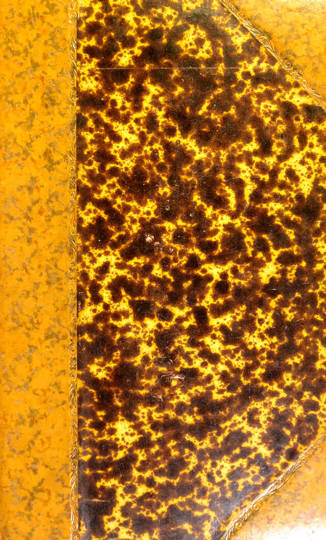digitised image 1