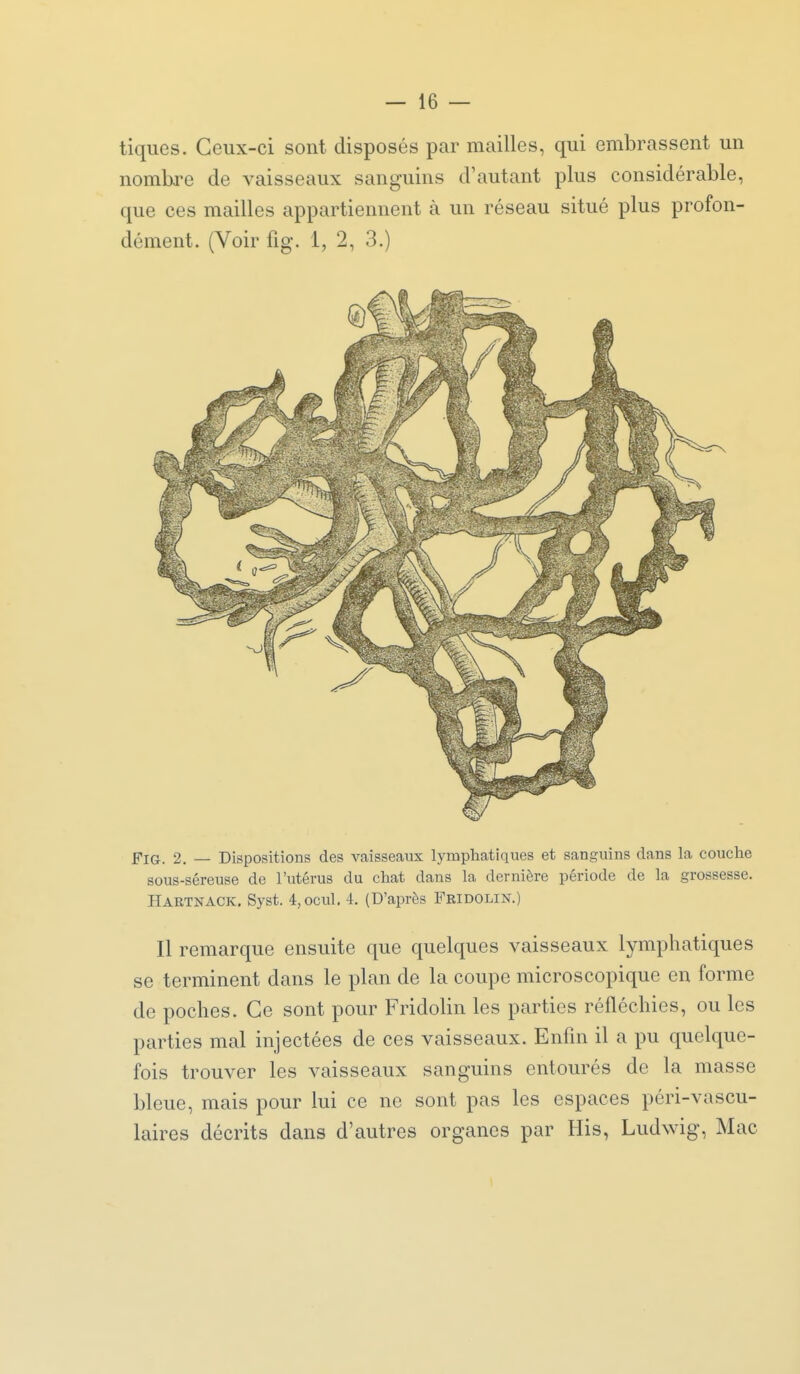 tiques. Ceux-ci sont disposés par mailles, qui embrassent un nombre de vaisseaux sanguins d'autant plus considérable, que ces mailles appartiennent à un réseau situé plus profon- dément. (Voir fig. 1, 2,3.) FiG. 2. — Dispositions des vaisseaux lymphatiques et sanguins dans la couche sous-séreuse de l'utérus du chat dans la dernière période de la grossesse. Hartnack. Syst. 4,ocul. 4. (D'après Fridolin.) Il remarque ensuite que quelques vaisseaux lymphatiques se terminent dans le plan de la coupe microscopique en forme de poches. Ce sont pour Fridolin les parties réfléchies, ou les parties mal injectées de ces vaisseaux. Enfm il a pu quelque- fois trouver les vaisseaux sanguins entourés de la masse bleue, mais pour lui ce ne sont pas les espaces péri-vascu- laires décrits dans d'autres organes par His, Ludwig, Mac