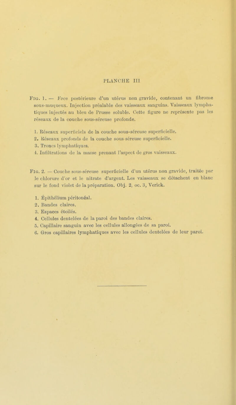 Fiti. l. — Fuce postérieure d'un utérus non gravide, contenant un fibrome sous-muqueux. Injection préalable des vaisseaux sanguins. Vaisseaux lympha- tiques injectés au bleu de Prusse soluble. Cette figure ne représente pas les réseaux de la couche sous-séreuse profonde. 1. Réseaux superticiels de la couche sous-séreuse superficielle. 2. Késeaux profonds de la couche sous-séreuse superficielle. 3. Troncs lymphatiques. 4. Infiltrations de la masse prenant l'aspect de gros vaisseaux. FiG. 2. — Couche sous-séreuse superficielle d'un utérus non gravide, traitée par le chlorure d'or et le nitrate d'argent. Les vaisseaux se détachent en blanc sur le fond violet de la préparation. Obj. 2, oc. 3, Verick. L Épithélium péritonéal. 2. Bandes claires. 3. Espaces étoilés. 4. Cellules dentelées de la paroi des bandes claires. 5. Capillaire sanguin avec les cellules allongées de sa paroi.