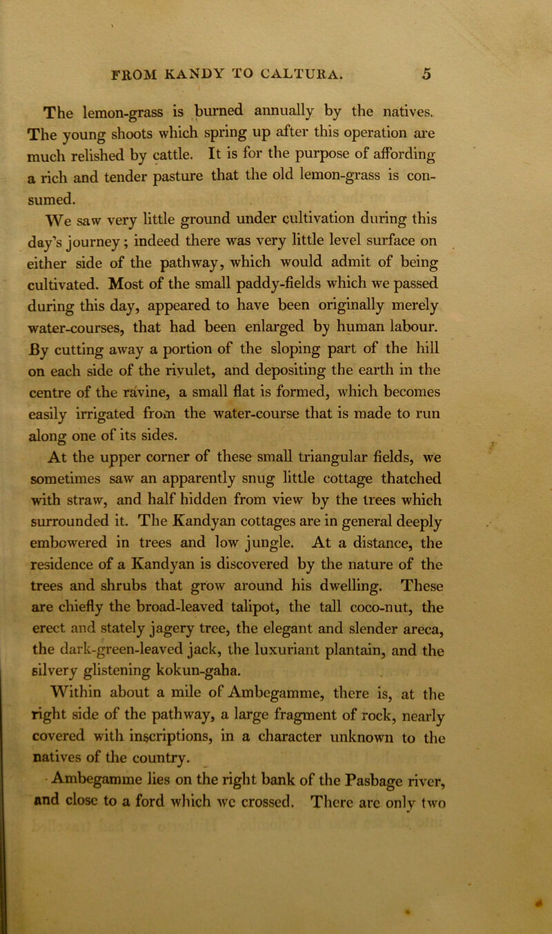 The lemon-grass is burned annually by the natives. The young shoots which spring up after this operation are much relished by cattle. It is for the purpose of affording a rich and tender pasture that the old lemon-grass is con- sumed. We saw very little ground under cultivation during this day’s journey; indeed there was very little level surface on either side of the pathway, which would admit of being cultivated. Most of the small paddy-fields which we passed during this day, appeared to have been originally merely water-courses, that had been enlarged by human labour. By cutting away a portion of the sloping part of the hill on each side of the rivulet, and depositing the earth in the centre of the ravine, a small flat is formed, which becomes easily irrigated from the water-course that is made to run along one of its sides. At the upper corner of these small triangular fields, we sometimes saw an apparently snug little cottage thatched with straw, and half hidden from view by the trees which surrounded it. The Kandyan cottages are in general deeply embowered in trees and low jungle. At a distance, the residence of a Kandyan is discovered by the nature of the trees and shrubs that grow around his dwelling. These are chiefly the broad-leaved talipot, the tall coco-nut, the erect and stately jagery tree, the elegant and slender areca, the dark-green-leaved jack, the luxuriant plantain, and the silvery glistening kokun-gaha. Within about a mile of Ambegamme, there is, at the right side of the pathway, a large fragment of rock, nearly covered with inscriptions, in a character unknown to the natives of the country. Ambegamme lies on the right bank of the Pasbage river, and close to a ford which wc crossed. There arc only two