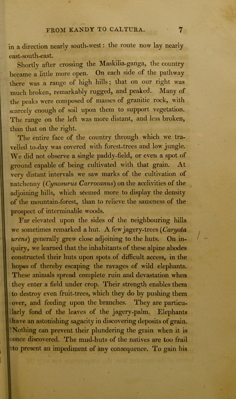 in a direction nearly south-west: the route now lay nearly east-south-east. Shortly after crossing the Maskilia-ganga, the country became a little more open. On each side of the pathway there was a range of high hills; that on our right was much broken, remarkably rugged, and peaked. Many of the peaks were composed of masses of granitic rock, with scarcely enough of soil upon them to support vegetation. The range on the left was more distant, and less broken, than that on the right. The entire face of the country through which we tra- velled to-day was covered with forest-trees and low jungle. We did not observe a single paddy-field, or even a spot of ground capable of being cultivated with that grain. At very distant intervals we saw marks of the cultivation of natchenny {Cynosurus Carrocanus) on the acclivities of the adjoining hills, which sfcemed more to display the density of the mountain-forest, than to relieve the sameness of the prospect of interminable woods. Far elevated upon the sides of the neighbouring hills we sometimes remarked a hut. A few jagery-trees (Caryota urens) generally grew close adjoining to the huts. On in- quiry, we learned that the inhabitants of these alpine abodes constructed their huts upon spots of difficult access, in the hopes of thereby escaping the ravages of wild elephants. These animals spread complete ruin and devastation when they enter a field under crop. Their strength enables them to destroy even fruit-trees, which they do by pushing them over, and feeding upon the branches. They are particu- larly fond of the leaves of the jagery-palm. Elephants i have an astonishing sagacity in discovering deposits of grain. 'Nothing can prevent their plundering the grain when it is once discovered. The mud-huts of the natives are too frail to present an impediment of any consequence. To gain his