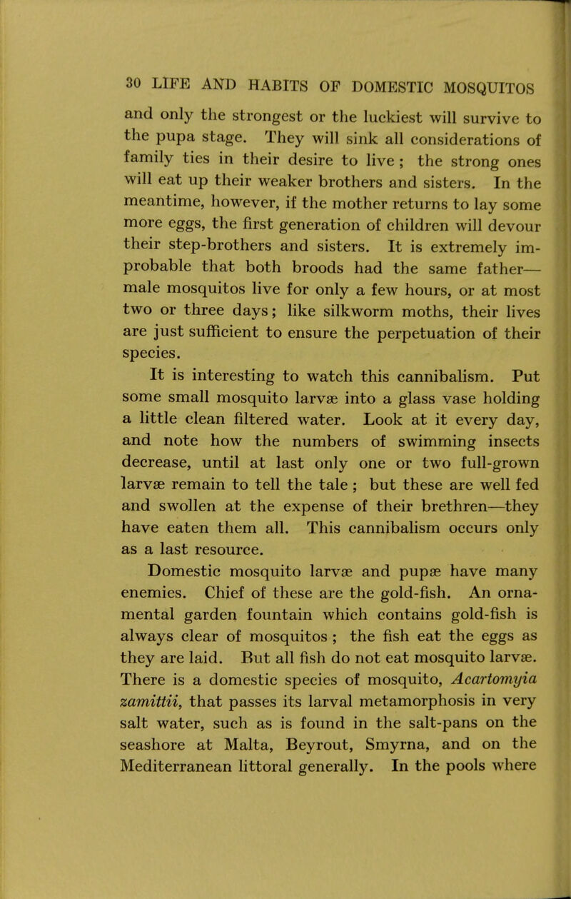 and only the strongest or tlie luckiest will survive to the pupa stage. They will sink all considerations of family ties in their desire to live ; the strong ones will eat up their weaker brothers and sisters. In the meantime, however, if the mother returns to lay some more eggs, the first generation of children will devour their step-brothers and sisters. It is extremely im- probable that both broods had the same father- male mosquitos live for only a few hours, or at most two or three days; Hke silkworm moths, their lives are just sufficient to ensure the perpetuation of their species. It is interesting to watch this cannibalism. Put some small mosquito larvae into a glass vase holding a little clean filtered water. Look at it every day, and note how the numbers of swimming insects decrease, until at last only one or two full-grown larvae remain to tell the tale ; but these are well fed and swollen at the expense of their brethren—they have eaten them all. This cannibalism occurs only as a last resource. Domestic mosquito larvae and pupae have many enemies. Chief of these are the gold-fish. An orna- mental garden fountain which contains gold-fish is always clear of mosquitos ; the fish eat the eggs as they are laid. But all fish do not eat mosquito larvae. There is a domestic species of mosquito, Acartomyia zamittii, that passes its larval metamorphosis in very salt water, such as is found in the salt-pans on the seashore at Malta, Beyrout, Smyrna, and on the Mediterranean littoral generally. In the pools where