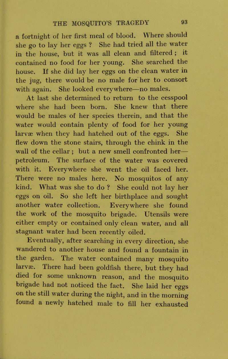 a fortnight of her first meal of blood. Where should she go to lay her eggs ? She had tried all the water in the house, but it was all clean and filtered ; it contained no food for her young. She searched the house. If she did lay her eggs on the clean water in the jug, there would be no male for her to consort with again. She looked everywhere—no males. At last she determined to return to the cesspool where she had been born. She knew that there would be males of her species therein, and that the water would contain plenty of food for her young larvae when they had hatched out of the eggs. She flew down the stone stairs, through the chink in the wall of the cellar; but a new smell confronted her— petroleum. The surface of the water was covered with it. Everywhere she went the oil faced her. There were no males here. No mosquitos of any kind. What was she to do ? She could not lay her eggs on oil. So she left her birthplace and sought another water collection. Evervwhere she found the work of the mosquito brigade. Utensils were either empty or contained only clean water, and all stagnant water had been recently oiled. Eventually, after searching in every direction, she wandered to another house and found a fountain in the garden. The water contained many mosquito larvae. There had been goldfish there, but they had died for some unknown reason, and the mosquito brigade had not noticed the fact. She laid her eggs on the still water during the night, and in the morning found a newly hatched male to fill her exhausted