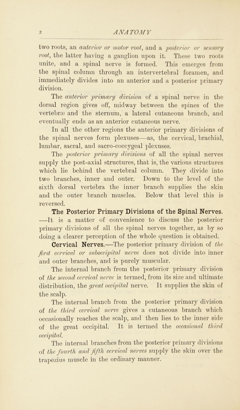 two roots, an anterior or motor root, and a posterior or sensory root, the latter having a ganglion upon it. These two roots unite, and a spinal nerve is formed. This emerges from the spinal column through an intervertebral foramen, and immediately divides into an anterior and a posterior primary division. The anterior primary division of a spinal nerve in the dorsal region gives off, midway between the spines of the vertebrae and the sternum, a lateral cutaneous branch, and eventually ends as an anterior cutaneous nerve. In all the other regions the anterior primary divisions of the spinal nerves form plexuses—as, the cervical, brachial, lumbar, sacral, and sacro-coccygeal plexuses. The posterior primary divisions of all the spinal nerves supply the post-axial structures, that is, the various structures which lie behind the vertebral column. They divide into two branches, inner and outer. Down to the level of the sixth dorsal vertebra the inner branch supplies the skin and the outer branch muscles. Below that level this is reversed. The Posterior Primary Divisions of the Spinal Nerves. —It is a matter of convenience to discuss the posterior primary divisions of all the spinal nerves together, as by so doing a clearer perception of the whole question is obtained. Cervical Nerves.—The posterior primary division of the first cervical or suboccipital nerve does not divide into inner and outer branches, and is purely muscular. The internal branch from the posterior primary division of the second cervical nerve is termed, from its size and ultimate distribution, the great occipital nerve. It supplies the skin of the scalp. The internal branch from the posterior primary division of the third cervical nerve gives a cutaneous branch which occasionally reaches the scalp, and then lies to the inner side of the great occipital. It is termed the occasional third occipital. The internal branches from the posterior primary divisions of the fourth and fifth cervical nerves supply the skin over the trapezius muscle in the ordinary manner.
