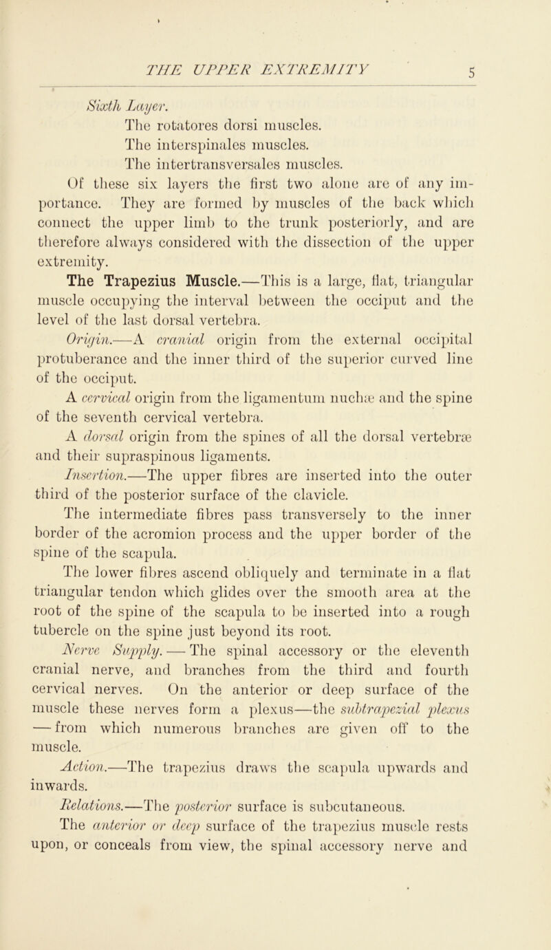 Sixth Layer. The rotatores dorsi muscles. The interspinales muscles. The intertransversales muscles. Of these six layers the first two alone are of any im- portance. They are formed by muscles of the back which connect the upper limb to the trunk posteriorly, and are therefore always considered with the dissection of the upper extremity. The Trapezius Muscle.—This is a large, flat, triangular muscle occupying the interval between the occiput and the level of the last dorsal vertebra. Origin.—A cranial origin from the external occipital protuberance and the inner third of the superior curved line of the occiput. A cervical origin from the ligamentum nuclue and the spine of the seventh cervical vertebra. A dorsal origin from the spines of all the dorsal vertebrae and their supraspinous ligaments. Insertion.—The upper fibres are inserted into the outer third of the posterior surface of the clavicle. The intermediate fibres pass transversely to the inner border of the acromion process and the upper border of the spine of the scapula. The lower fibres ascend obliquely and terminate in a flat triangular tendon which glides over the smooth area at the root of the spine of the scapula to be inserted into a rough tubercle on the spine just beyond its root. Nerve Supply. — The spinal accessory or the eleventh cranial nerve, and branches from the third and fourth cervical nerves. On the anterior or deep surface of the muscle these nerves form a plexus—the subtrapezial plexus — from which numerous branches are given off to the muscle. Action.—The trapezius draws the scapula upwards and inwards. Relations.—The posterior surface is subcutaneous. The anterior or deep surface of the trapezius muscle rests upon, or conceals from view, the spinal accessory nerve and