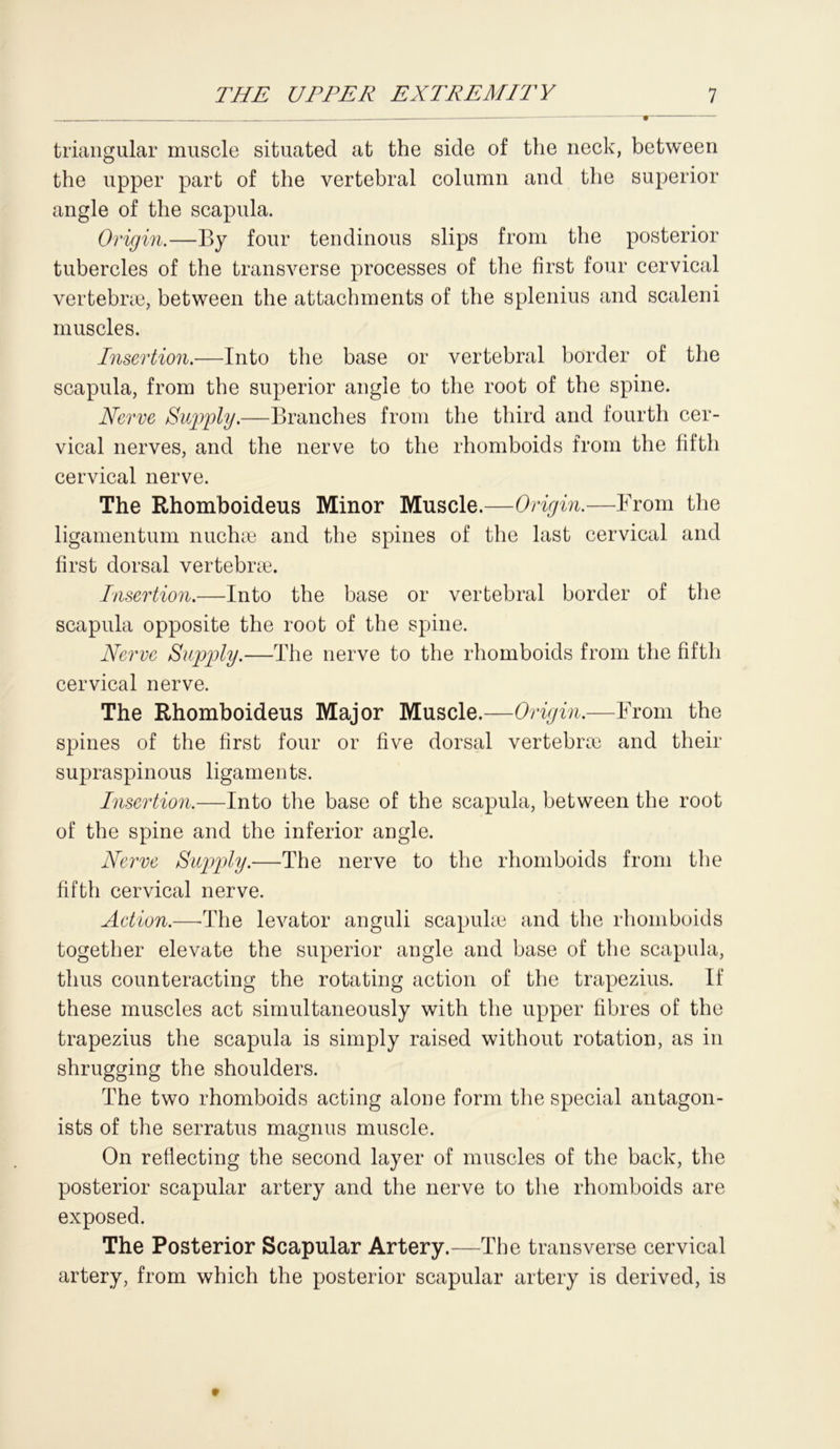 triangular muscle situated at the side of the neck, between the upper part of the vertebral column and the superior angle of the scapula. Origin.—By four tendinous slips from the posterior tubercles of the transverse processes of the first four cervical vertebrae, between the attachments of the splenius and scaleni muscles. Insertion.—Into the base or vertebral border of the scapula, from the superior angle to the root of the spine. Nerve Supply.—Branches from the third and fourth cer- vical nerves, and the nerve to the rhomboids from the fifth cervical nerve. The Rhomboideus Minor Muscle.—Origin.—From the ligamentum nuchse and the spines of the last cervical and first dorsal vertebrae. Insertion.—Into the base or vertebral border of the scapula opposite the root of the spine. Nerve Supply.—The nerve to the rhomboids from the fifth cervical nerve. The Rhomboideus Major Muscle.—Origin.—From the spines of the first four or five dorsal vertebrae and their supraspinous ligaments. Insertion.—Into the base of the scapula, between the root of the spine and the inferior angle. Nerve Supply.—The nerve to the rhomboids from the fifth cervical nerve. Action.—The levator anguli scapulae and the rhomboids together elevate the superior angle and base of the scapula, thus counteracting the rotating action of the trapezius. If these muscles act simultaneously with the upper fibres of the trapezius the scapula is simply raised without rotation, as in shrugging the shoulders. The two rhomboids acting alone form the special antagon- ists of the serratus magnus muscle. On reflecting the second layer of muscles of the back, the posterior scapular artery and the nerve to the rhomboids are exposed. The Posterior Scapular Artery.—The transverse cervical artery, from which the posterior scapular artery is derived, is