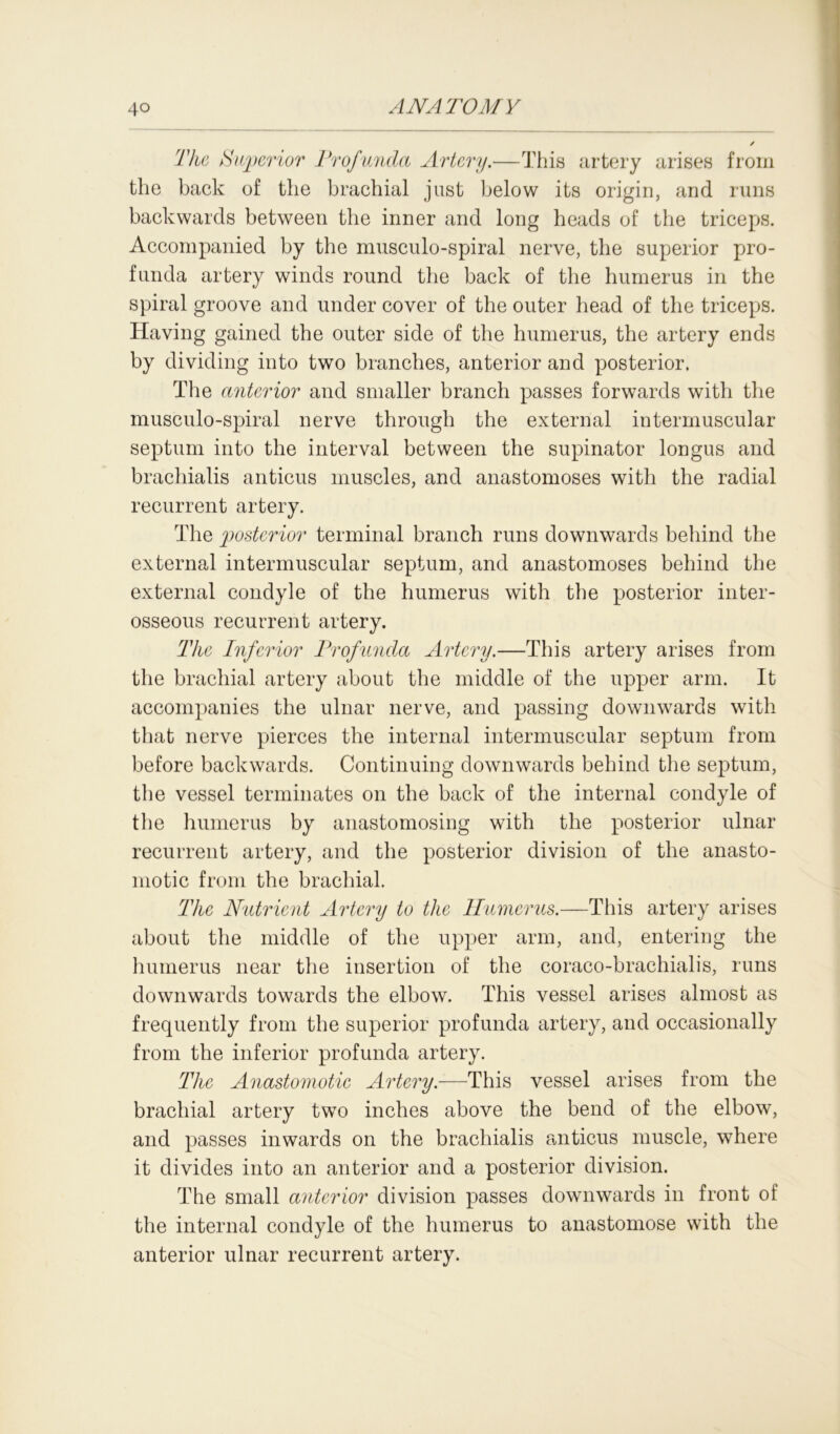 The Superior Profunda Artery.—This artery arises from the back of the brachial just below its origin, and runs backwards between the inner and long heads of the triceps. Accompanied by the musculo-spiral nerve, the superior pro- funda artery winds round the back of the humerus in the spiral groove and under cover of the outer head of the triceps. Having gained the outer side of the humerus, the artery ends by dividing into two branches, anterior and posterior. The anterior and smaller branch passes forwards with the musculo-spiral nerve through the external intermuscular septum into the interval between the supinator longus and brachialis anticus muscles, and anastomoses with the radial recurrent artery. The posterior terminal branch runs downwards behind the external intermuscular septum, and anastomoses behind the external condyle of the humerus with the posterior inter- osseous recurrent artery. The Inferior Profunda Artery.—This artery arises from the brachial artery about the middle of the upper arm. It accompanies the ulnar nerve, and passing downwards with that nerve pierces the internal intermuscular septum from before backwards. Continuing downwards behind the septum, the vessel terminates on the back of the internal condyle of the humerus by anastomosing with the posterior ulnar recurrent artery, and the posterior division of the anasto- motic from the brachial. The Nutrient Artery to the Humerus.—This artery arises about the middle of the upper arm, and, entering the humerus near the insertion of the coraco-brachialis, runs downwards towards the elbow. This vessel arises almost as frequently from the superior profunda artery, and occasionally from the inferior profunda artery. The Anastomotic Artery.—This vessel arises from the brachial artery two inches above the bend of the elbow, and passes inwards on the brachialis anticus muscle, where it divides into an anterior and a posterior division. The small anterior division passes downwards in front of the internal condyle of the humerus to anastomose with the anterior ulnar recurrent artery.