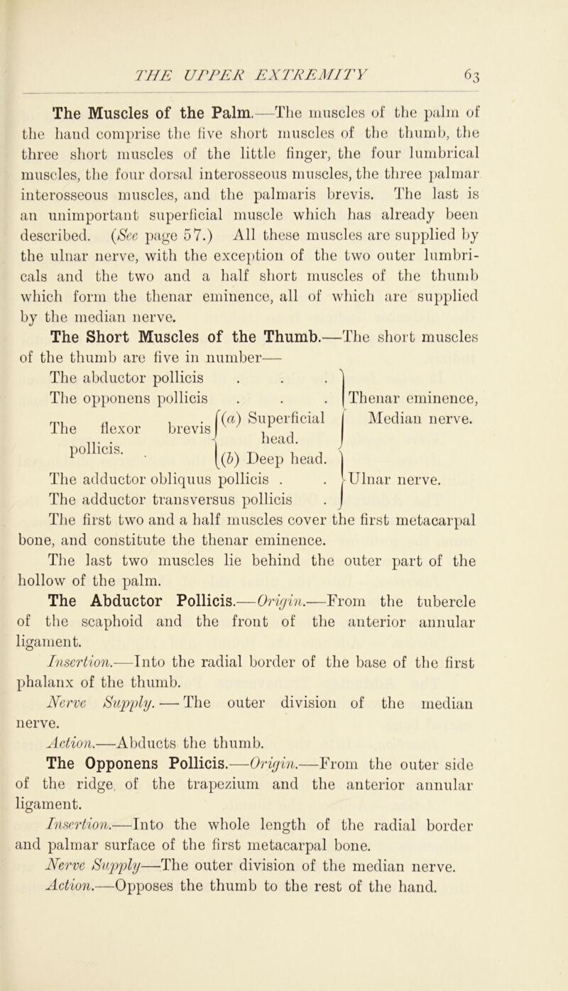 The Muscles of the Palm.—The muscles of the palm of the hand comprise the five short muscles of the thumb, the three short muscles of the little finger, the four lurnbrical muscles, the four dorsal interosseous muscles, the three palmar interosseous muscles, and the palmaris brevis. The last is an unimportant superficial muscle which has already been described. (See page 57.) All these muscles are supplied by the ulnar nerve, with the exception of the two outer lumbri- cals and the two and a half short muscles of the thumb which form the thenar eminence, all of which are supplied by the median nerve. The Short Muscles of the Thumb.—The short muscles of the thumb are five in number— The abductor pollicis The opponens pollicis ml ,, . ((a) Superficial ihe flexor brevis , , . i head. P°lllC1S- • [(b) Deep head. The adductor obliquus pollicis . The adductor transversus pollicis The first two and a half muscles cover the first metacarpal bone, and constitute the thenar eminence. The last two muscles lie behind the outer part of the hollow of the palm. The Abductor Pollicis.—Origin.—From the tubercle of the scaphoid and the front of the anterior annular ligament. Insertion.—Into the radial border of the base of the first phalanx of the thumb. Nerve Supply. —* The outer division of the median nerve. Action.—Abducts the thumb. The Opponens Pollicis.—Origin.—From the outer side of the ridge, of the trapezium and the anterior annular ligament. Insertion.—Into the whole length of the radial border and palmar surface of the first metacarpal bone. Nerve Supply—The outer division of the median nerve. Action.—Opposes the thumb to the rest of the hand. Thenar eminence, Median nerve. Ulnar nerve.