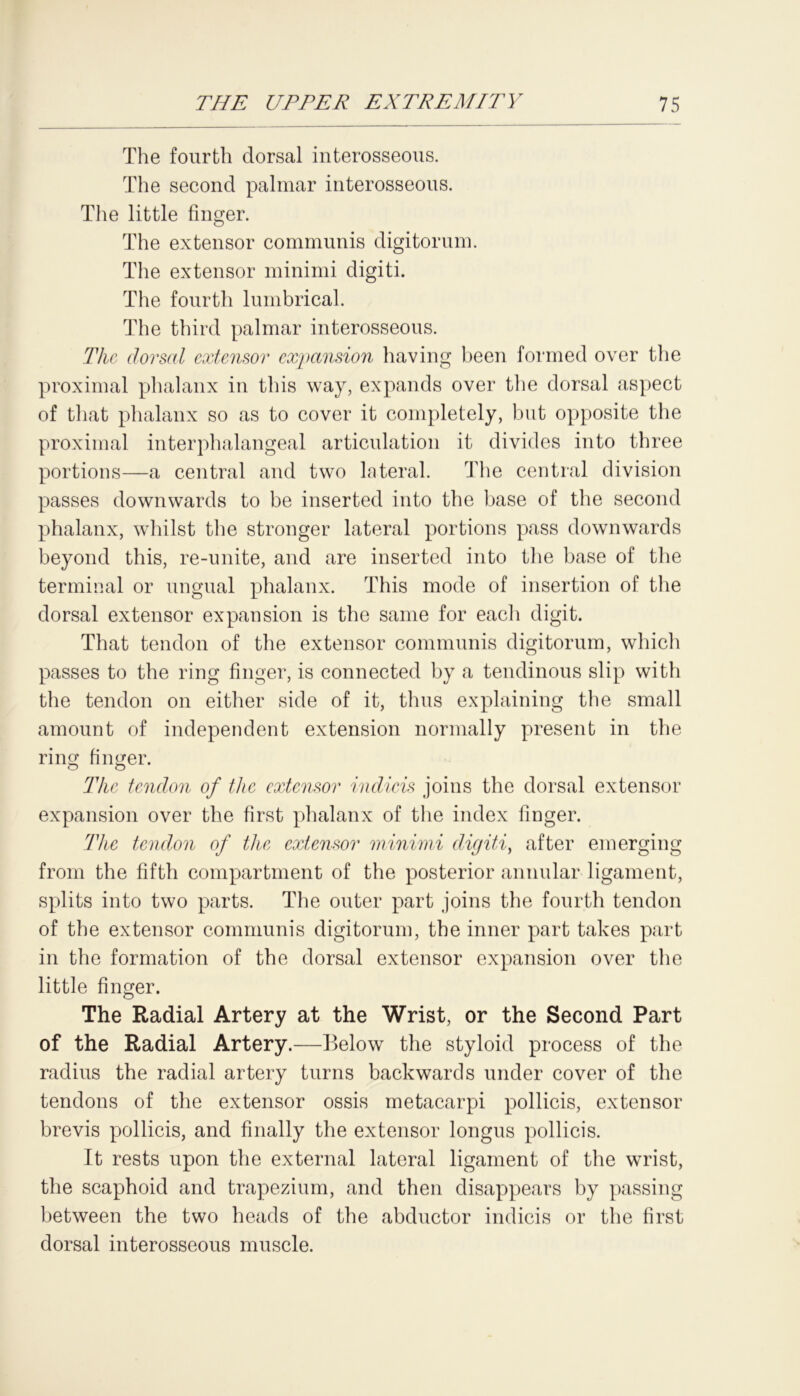 The fourth dorsal interosseous. The second palmar interosseous. The little finger. The extensor communis digitorum. The extensor minimi digiti. The fourth lumbrical. The third palmar interosseous. The dorsal extensor expansion having been formed over the proximal phalanx in this way, expands over the dorsal aspect of that phalanx so as to cover it completely, but opposite the proximal interphalangeal articulation it divides into three portions—a central and two lateral. The central division passes downwards to be inserted into the base of the second phalanx, whilst the stronger lateral portions pass downwards beyond this, re-unite, and are inserted into the base of the terminal or ungual phalanx. This mode of insertion of the dorsal extensor expansion is the same for each digit. That tendon of the extensor communis digitorum, which passes to the ring finger, is connected by a tendinous slip with the tendon on either side of it, thus explaining the small amount of independent extension normally present in the ring finger. The tendon of the extensor indicts joins the dorsal extensor expansion over the first phalanx of the index finger. The tendon of the extensor minimi digiti, after emerging from the fifth compartment of the posterior annular ligament, splits into two parts. The outer part joins the fourth tendon of the extensor communis digitorum, the inner part takes part in the formation of the dorsal extensor expansion over the little finger. The Radial Artery at the Wrist, or the Second Part of the Radial Artery.—Below the styloid process of the radius the radial artery turns backwards under cover of the tendons of the extensor ossis metacarpi pollicis, extensor brevis pollicis, and finally the extensor longus pollicis. It rests upon the external lateral ligament of the wrist, the scaphoid and trapezium, and then disappears by passing between the two heads of the abductor indicis or the first dorsal interosseous muscle.