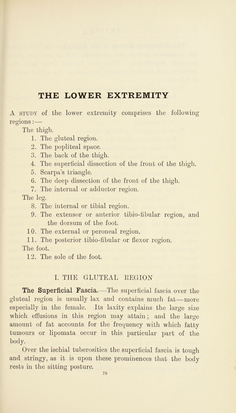 A study of the lower extremity comprises the following regions:— The thigh. 1. The gluteal region. 2. The popliteal space. 3. The back of the thigh. 4. The superficial dissection of the front of the thigh. 5. Scarpa’s triangle. 6. The deep dissection of the front of the thigh. 7. The internal or adductor region. The leg. 8. The internal or tibial region. 9. The extensor or anterior tibio-fibular region, and the dorsum of the foot. 10. The external or peroneal region. 11. The posterior tibio-fibular or flexor region. The foot. 12. The sole of the foot. I. THE GLUTEAL LEGION The Superficial Fascia.—The superficial fascia over the gluteal region is usually lax and contains much fat—more especially in the female. Its laxity explains the large size which effusions in this region may attain; and the large amount of fat accounts for the frequency with which fatty tumours or lipomata occur in this particular part of the body. Over the ischial tuberosities the superficial fascia is tough and stringy, as it is upon these prominences that the body rests in the sitting posture.