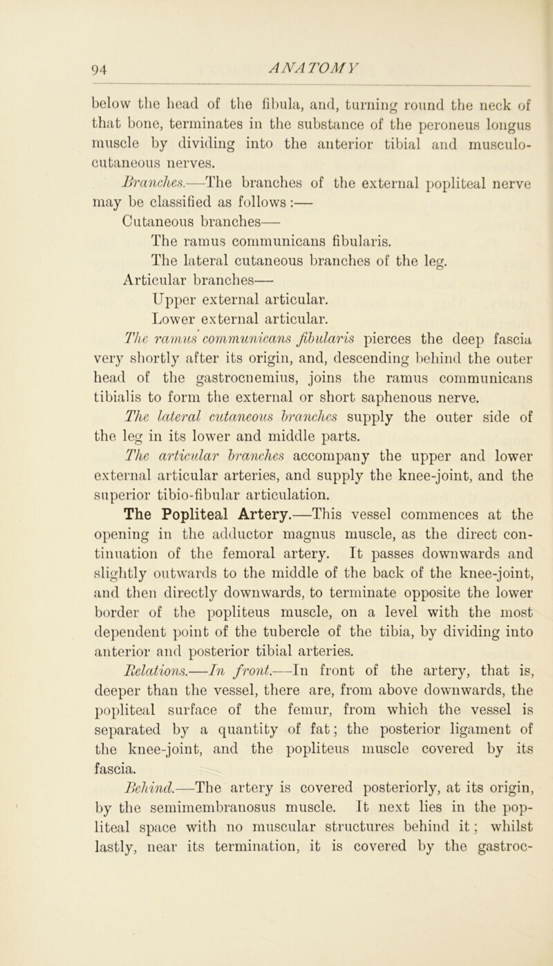 below the head of the fibula, and, turning round the neck of that bone, terminates in the substance of the peroneus longus muscle by dividing into the anterior tibial and musculo- cutaneous nerves. Branches.—The branches of the external popliteal nerve may be classified as follows:— Cutaneous branches— The ramus communicans fibularis. The lateral cutaneous branches of the leg. Articular branches— Upper external articular. Lower external articular. The ramus communicans fibularis pierces the deep fascia very shortly after its origin, and, descending behind the outer head of the gastrocnemius, joins the ramus communicans tibialis to form the external or short saphenous nerve. The lateral cutaneous branches supply the outer side of the leg in its lower and middle parts. The articular branches accompany the upper and lower external articular arteries, and supply the knee-joint, and the superior tibio-fibular articulation. The Popliteal Artery.—This vessel commences at the opening in the adductor magnus muscle, as the direct con- tinuation of the femoral artery. It passes downwards and slightly outwards to the middle of the back of the knee-joint, and then directly downwards, to terminate opposite the lower border of the popliteus muscle, on a level with the most dependent point of the tubercle of the tibia, by dividing into anterior and posterior tibial arteries. Relations.—In front.—In front of the artery, that is, deeper than the vessel, there are, from above downwards, the popliteal surface of the femur, from which the vessel is separated by a quantity of fat; the posterior ligament of the knee-joint, and the popliteus muscle covered by its fascia. Behind.—The artery is covered posteriorly, at its origin, by the semimembranosus muscle. It next lies in the pop- liteal space with no muscular structures behind it; whilst lastly, near its termination, it is covered by the gastroc-