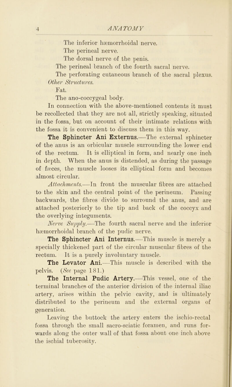 The inferior hoemorrhoidal nerve. The perineal nerve. The dorsal nerve of the penis. The perineal branch of the fourth sacral nerve. The perforating cutaneous branch of the sacral plexus. Other Structures. Tat. The ano-coccygeal body. In connection with the above-mentioned contents it must be recollected that they are not all, strictly speaking, situated in the fossa, but on account of their intimate relations with the fossa it is convenient to discuss them in this way. The Sphincter Ani Externus.—The external sphincter of the anus is an orbicular muscle surrounding the lower end of the rectum. It is elliptical in form, and nearly one inch in depth. When the anus is distended, as during the passage of faeces, the muscle looses its elliptical form and becomes almost circular. Attachments.—In front the muscular fibres are attached to the skin and the central point of the perineum. Passing backwards, the fibres divide to surround the anus, and are attached posteriorly to the tip and back of the coccyx and the overlying integuments. Nerve Supply.—The fourth sacral nerve and the inferior hsemorrhoidal branch of the pudic nerve. The Sphincter Ani Internus.—This muscle is merely a specially thickened part of the circular muscular fibres of the rectum. It is a purely involuntary muscle. The Levator Ani.—This muscle is described with the pelvis. (See page 181.) The Internal Pudic Artery.—This vessel, one of the terminal branches of the anterior division of the internal iliac artery, arises within the pelvic cavity, and is ultimately distributed to the perineum and the external organs of generation. Leaving the buttock the artery enters the ischio-rectal fossa through the small sacro-sciatic foramen, and runs for- wards along the outer wall of that fossa about one inch above the ischial tuberosity.