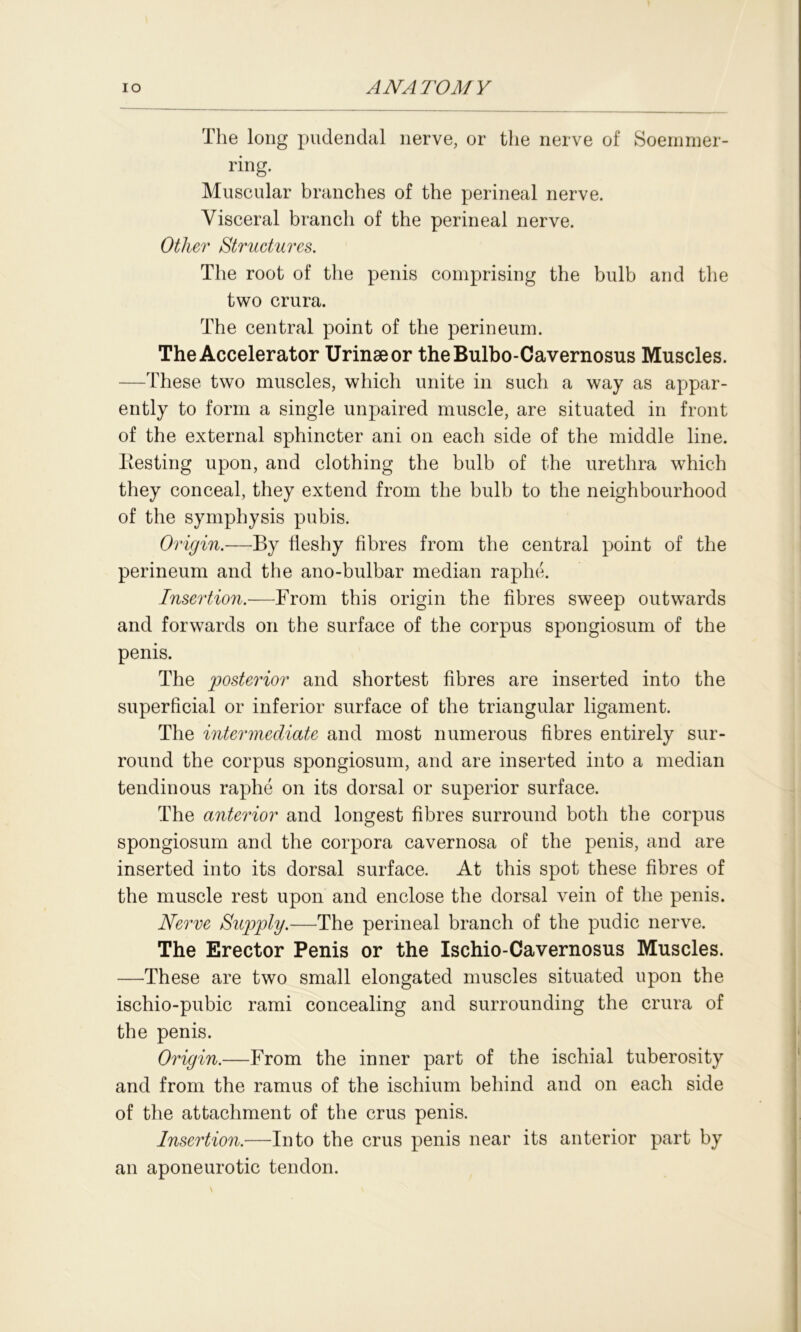 The long pudendal nerve, or the nerve of Soemmer- ring. Muscular branches of the perineal nerve. Visceral branch of the perineal nerve. Other Structures. The root of the penis comprising the bulb and the two crura. The central point of the perineum. The Accelerator Urinaeor theBulbo-Cavernosus Muscles. —These two muscles, which unite in such a way as appar- ently to form a single unpaired muscle, are situated in front of the external sphincter ani on each side of the middle line. Ilesting upon, and clothing the bulb of the urethra which they conceal, they extend from the bulb to the neighbourhood of the symphysis pubis. Origin.—By fleshy fibres from the central point of the perineum and the ano-bulbar median raphe. Insertion.—From this origin the fibres sweep outwards and forwards on the surface of the corpus spongiosum of the penis. The posterior and shortest fibres are inserted into the superficial or inferior surface of the triangular ligament. The intermediate and most numerous fibres entirely sur- round the corpus spongiosum, and are inserted into a median tendinous raphe on its dorsal or superior surface. The anterior and longest fibres surround both the corpus spongiosum and the corpora cavernosa of the penis, and are inserted into its dorsal surface. At this spot these fibres of the muscle rest upon and enclose the dorsal vein of the penis. Nerve Supply.—The perineal branch of the pudic nerve. The Erector Penis or the Ischio-Cavernosus Muscles. —These are two small elongated muscles situated upon the ischio-pubic rami concealing and surrounding the crura of the penis. Origin.—From the inner part of the ischial tuberosity and from the ramus of the ischium behind and on each side of the attachment of the crus penis. Insertion.—Into the crus penis near its anterior part by an aponeurotic tendon.