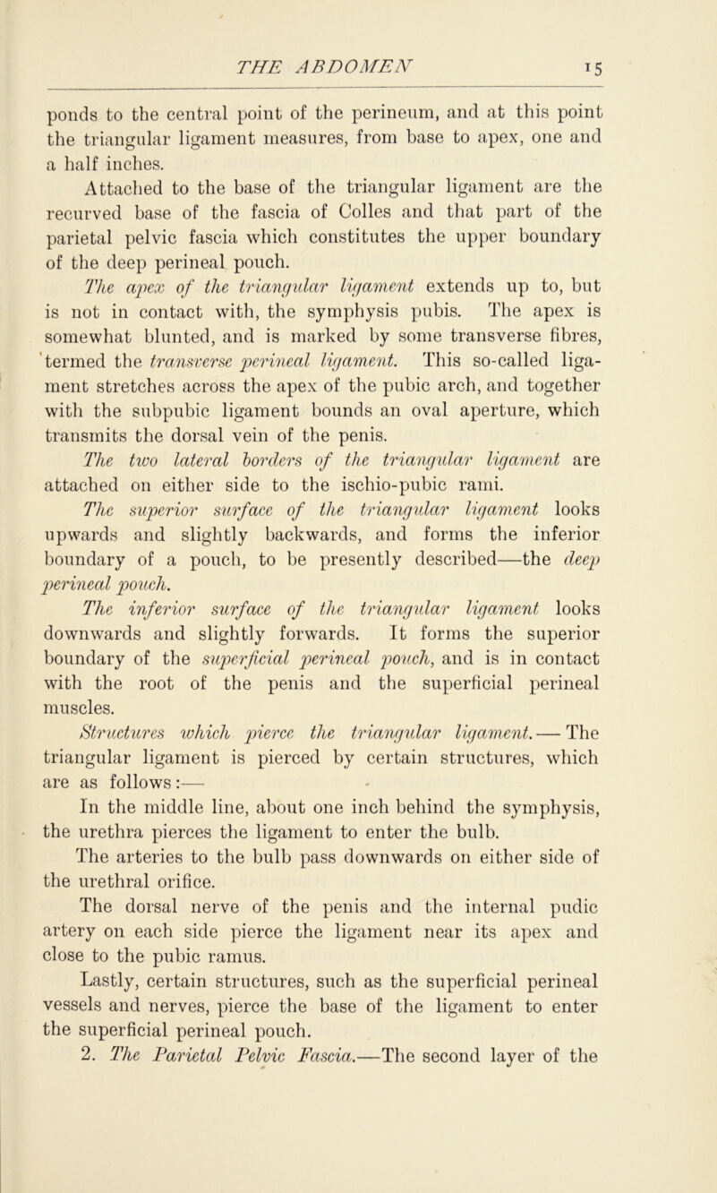 ponds to the central point of the perineum, and at this point the triangular ligament measures, from base to apex, one and a half inches. Attached to the base of the triangular ligament are the recurved base of the fascia of Colies and that part of the parietal pelvic fascia which constitutes the upper boundary of the deep perineal pouch. The apex of the triangular ligament extends up to, but is not in contact with, the symphysis pubis. The apex is somewhat blunted, and is marked by some transverse fibres, termed the transverse perineal ligament. This so-called liga- ment stretches across the apex of the pubic arch, and together with the subpubic ligament bounds an oval aperture, which transmits the dorsal vein of the penis. The two lateral borders of the triangular ligament are attached on either side to the ischio-pubic rami. The superior surface of the triangular ligament looks upwards and slightly backwards, and forms the inferior boundary of a pouch, to be presently described—the deep perineal pouch. The inferior surface of the triangidar ligament looks downwards and slightly forwards. It forms the superior boundary of the supierficial perineal pouch, and is in contact with the root of the penis and the superficial perineal muscles. Structures which pierce the triangular ligament. — The triangular ligament is pierced by certain structures, which are as follows :— In the middle line, about one inch behind the symphysis, the urethra pierces the ligament to enter the bulb. The arteries to the bulb pass downwards on either side of the urethral orifice. The dorsal nerve of the penis and the internal pudic artery on each side pierce the ligament near its apex and close to the pubic ramus. Lastly, certain structures, such as the superficial perineal vessels and nerves, pierce the base of the ligament to enter the superficial perineal pouch. 2. The Parietal Pelvic Fascia.—The second layer of the