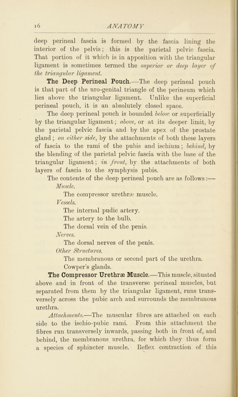 deep perineal fascia is formed by the fascia lining the interior of the pelvis; this is the parietal pelvic fascia. That portion of it which is in apposition with the triangular ligament is sometimes termed the superior or deep layer of the triangular ligament. The Deep Perineal Pouch.—The deep perineal pouch is that part of the uro-genital triangle of the perineum which lies above the triangular ligament. Unlike the superficial perineal pouch, it is an absolutely closed space. The deep perineal pouch is bounded below or superficially by the triangular ligament; above, or at its deeper limit, by the parietal pelvic fascia and by the apex of the prostate gland ; on either side, by the attachments of both these layers of fascia to the rami of the pubis and ischium; behind, by the blending of the parietal pelvic fascia with the base of the triangular ligament; in front, by the attachments of both layers of fascia to the symphysis pubis. The contents of the deep perineal pouch are as follows :— Muscle. The compressor urethrae muscle. Vessels. The internal pudic artery. The artery to the bulb. The dorsal vein of the penis. Nerves. The dorsal nerves of the penis. Other Structures. The membranous or second part of the urethra. Cowper’s glands. The Compressor Urethrae Muscle.—This muscle, situated above and in front of the transverse perineal muscles, but separated from them by the triangular ligament, runs trans- versely across the pubic arch and surrounds the membranous urethra. Attachments.—The muscular fibres are attached on each side to the ischio-pubic rami. From this attachment the fibres run transversely inwards, passing both in front of, and behind, the membranous urethra, for which they thus form a species of sphincter muscle. Eefiex contraction of this