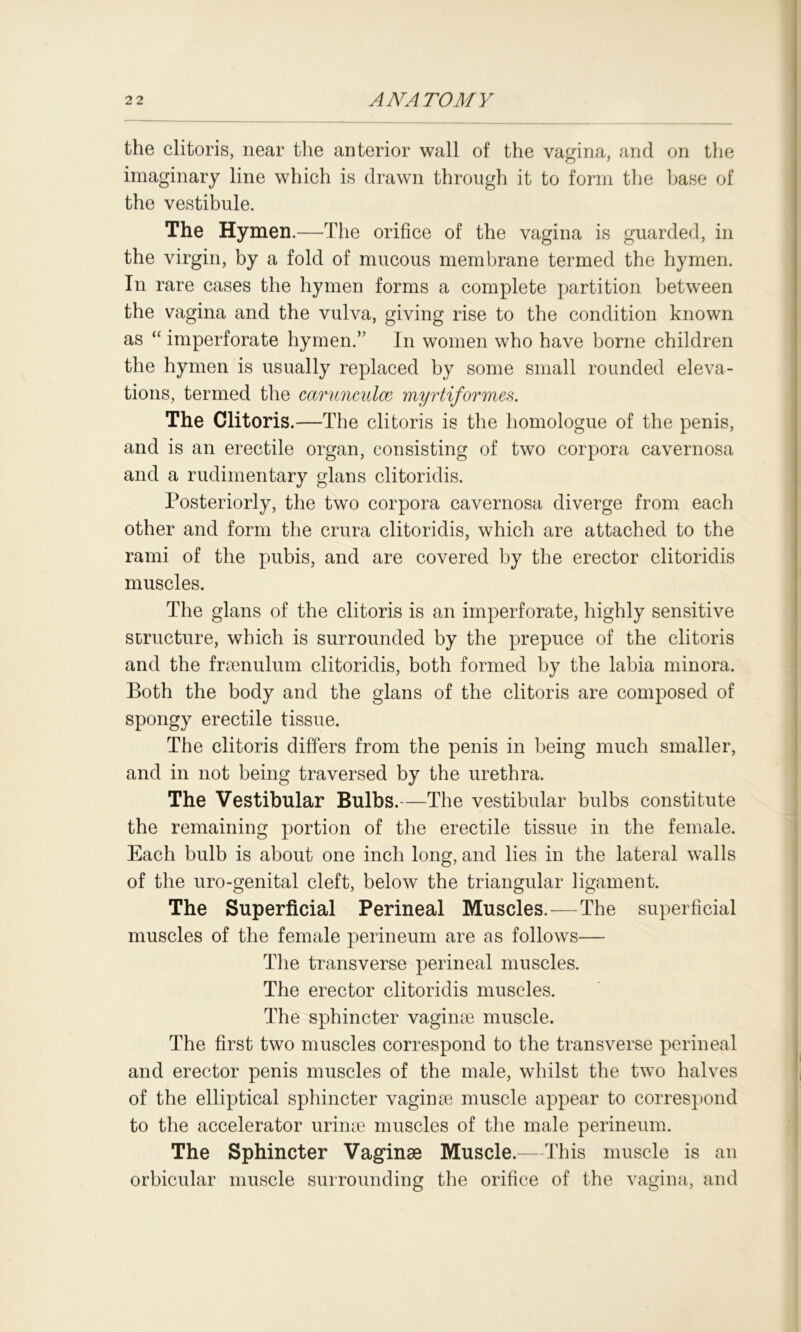 the clitoris, near the anterior wall of the vagina, and on the imaginary line which is drawn through it to form the base of the vestibule. The Hymen.—The orifice of the vagina is guarded, in the virgin, by a fold of mucous membrane termed the hymen. In rare cases the hymen forms a complete partition between the vagina and the vulva, giving rise to the condition known as “ imperforate hymen.” In women who have borne children the hymen is usually replaced by some small rounded eleva- tions, termed the carunculce myrtiformes. The Clitoris.—The clitoris is the liomologue of the penis, and is an erectile organ, consisting of two corpora cavernosa and a rudimentary glans clitoridis. Posteriorly, the two corpora cavernosa diverge from each other and form the crura clitoridis, which are attached to the rami of the pubis, and are covered by the erector clitoridis muscles. The glans of the clitoris is an imperforate, highly sensitive structure, which is surrounded by the prepuce of the clitoris and the fraenulum clitoridis, both formed by the labia minora. Both the body and the glans of the clitoris are composed of spongy erectile tissue. The clitoris differs from the penis in being much smaller, and in not being traversed by the urethra. The Vestibular Bulbs.—The vestibular bulbs constitute the remaining portion of the erectile tissue in the female. Each bulb is about one inch long, and lies in the lateral walls of the uro-genital cleft, below the triangular ligament. The Superficial Perineal Muscles.—The superficial muscles of the female perineum are as follows'— The transverse perineal muscles. The erector clitoridis muscles. The sphincter vaginae muscle. The first two muscles correspond to the transverse perineal and erector penis muscles of the male, whilst the two halves of the elliptical sphincter vaginae muscle appear to correspond to the accelerator urinae muscles of the male perineum. The Sphincter Vaginae Muscle.—This muscle is an orbicular muscle surrounding the orifice of the vagina, and